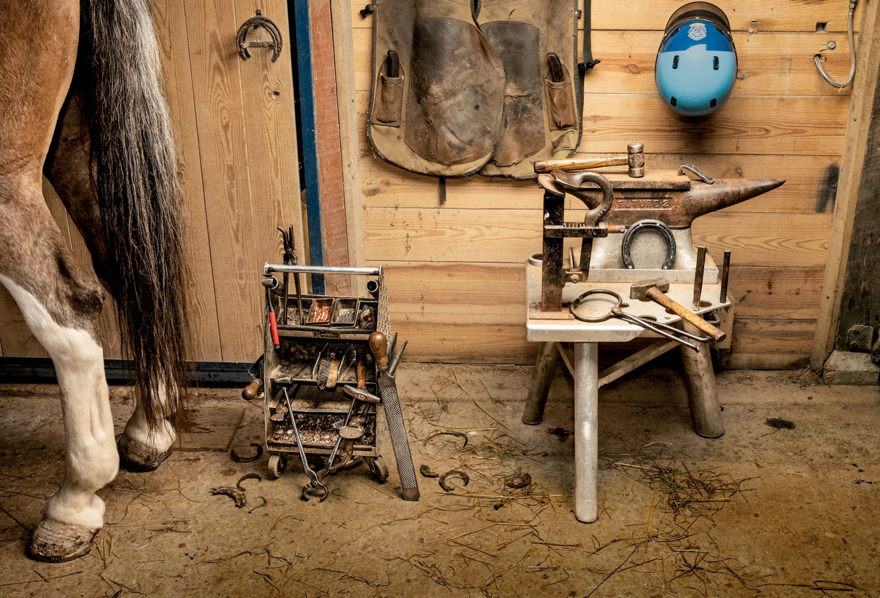 toolkit of horseshoe farrier