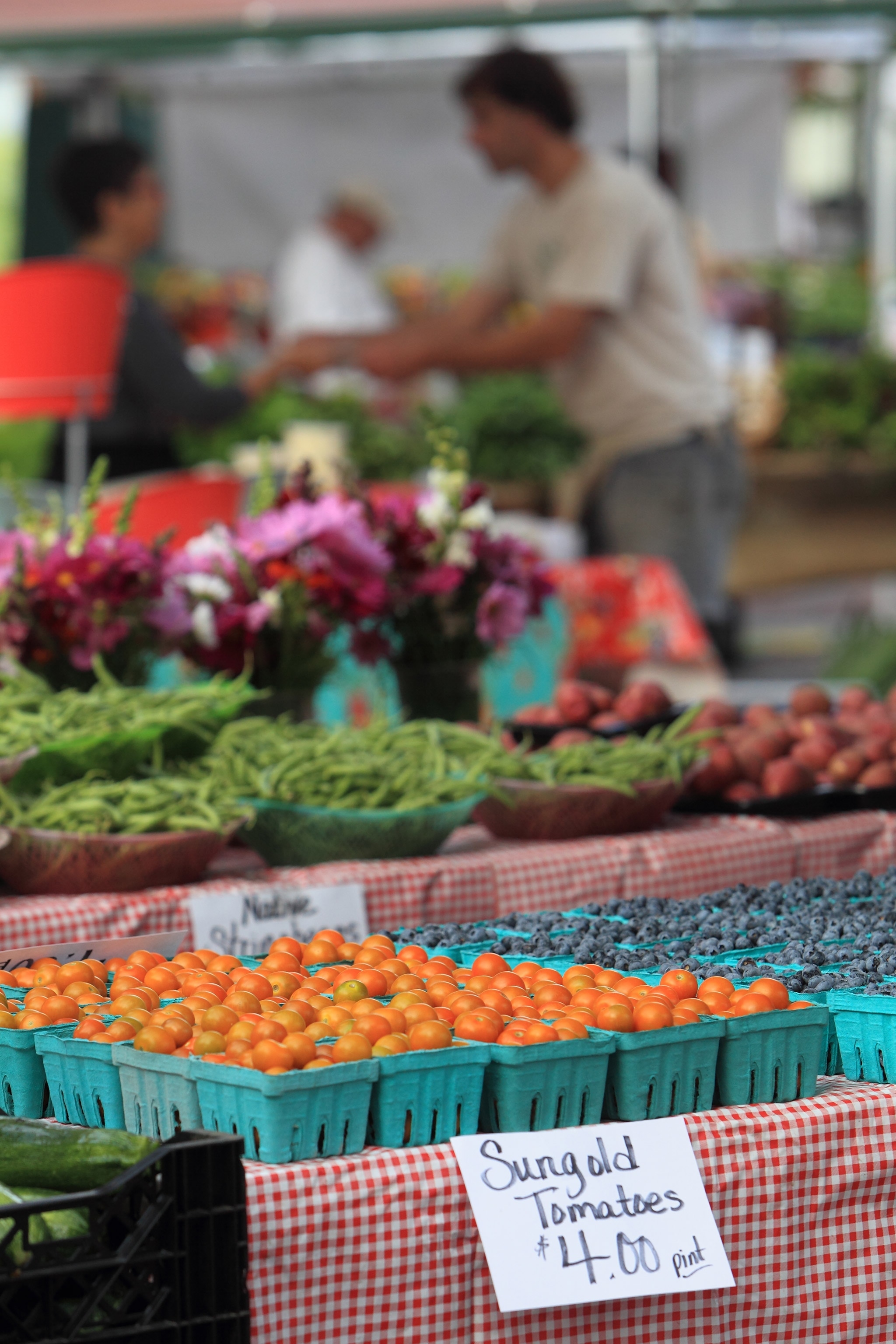 Colorful organically farmed fruit, vegetables and flowers displayed for sale at the Maine Organic Farmers' Market in Portland, Maine
