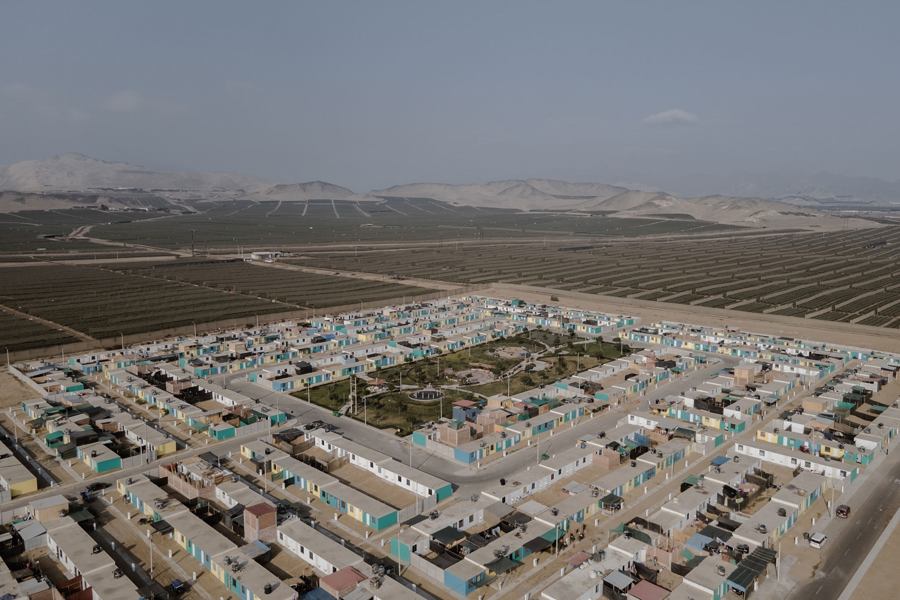 Aerial view of a small town in from of a large blueberry field.