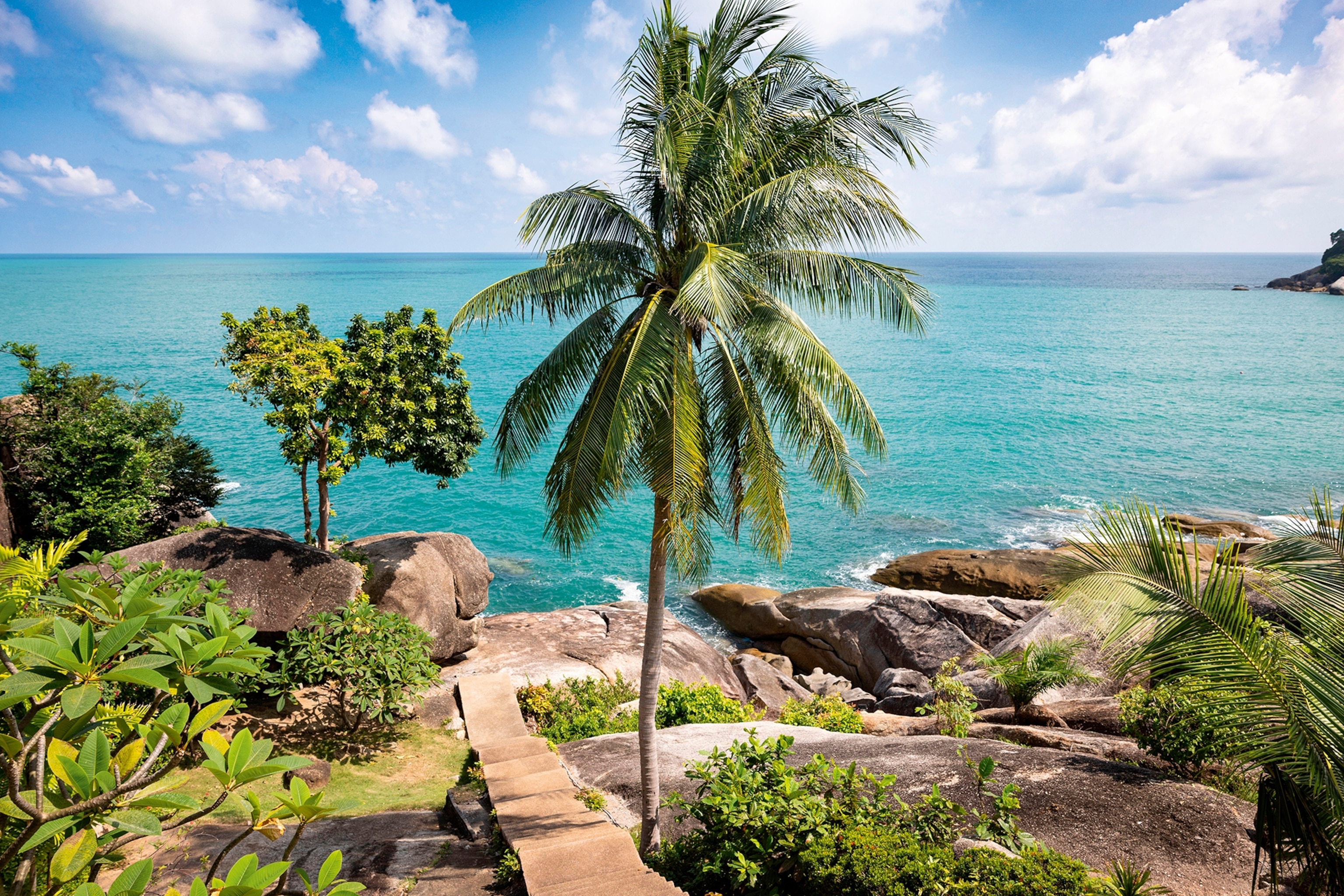 Steps leading down to a rocky coast with a palm tree on the side and he ocean in the distance.