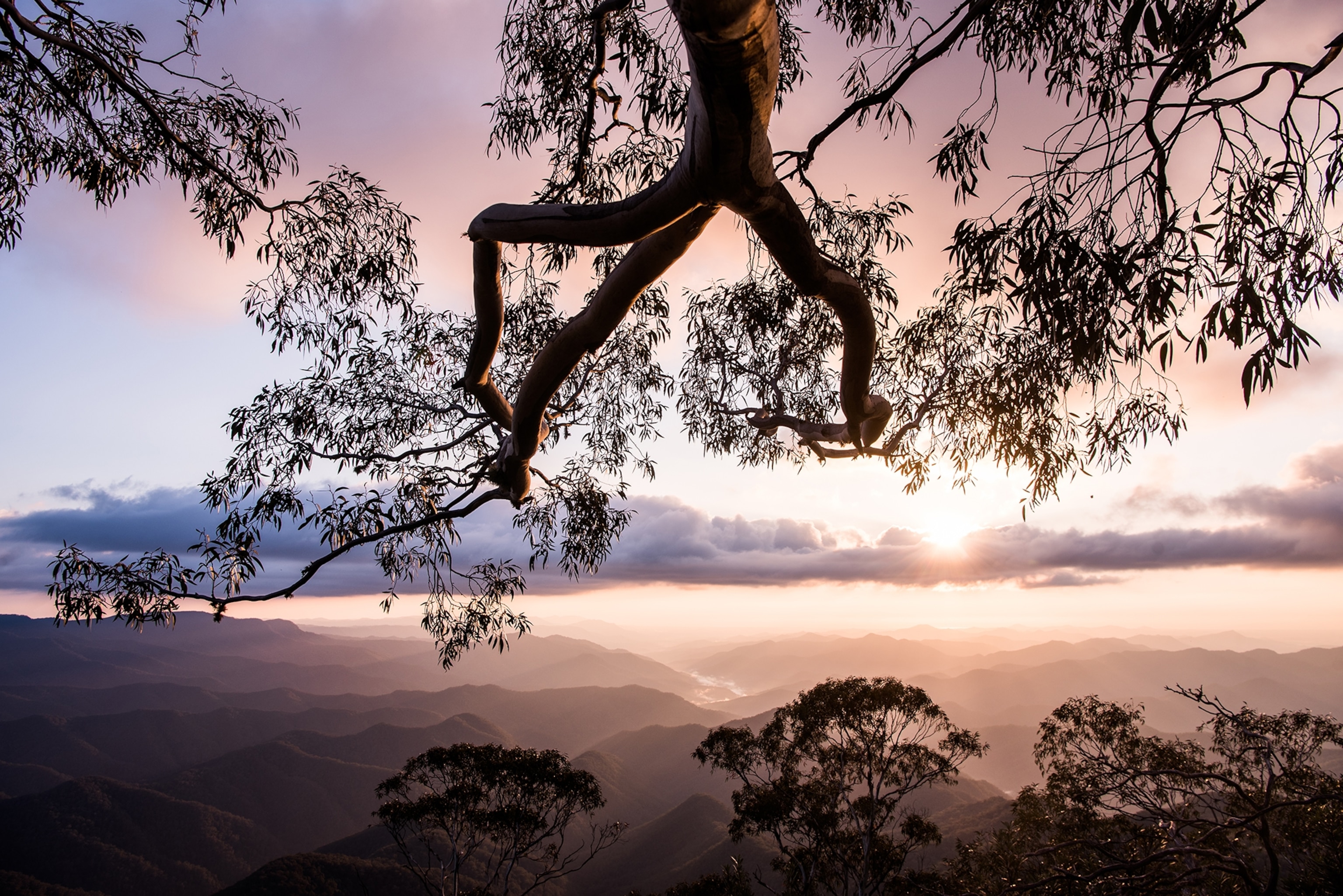Point Lookout in New England National Park, New South Wales, Australia
