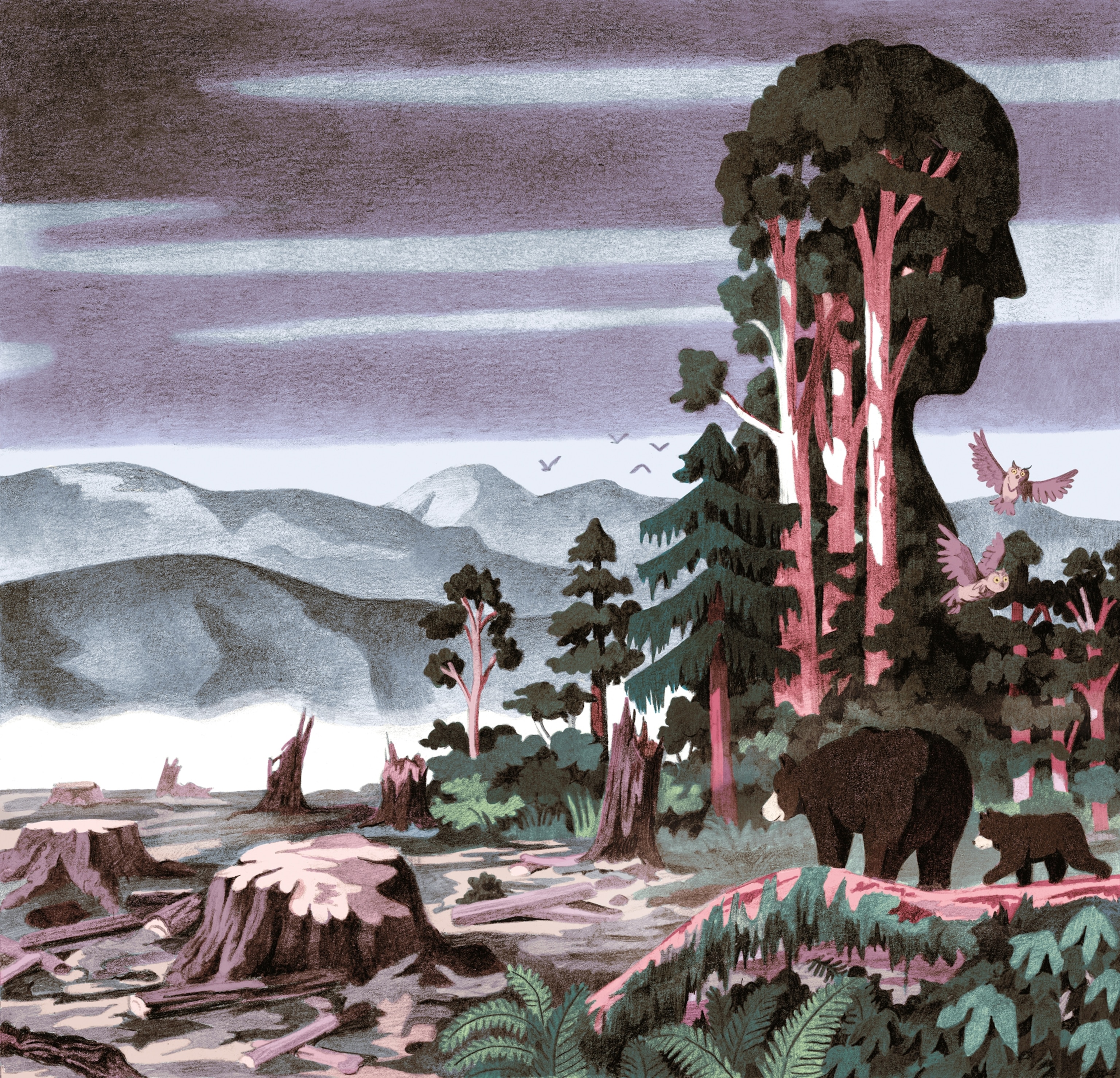 Picture of color drawing of forest.