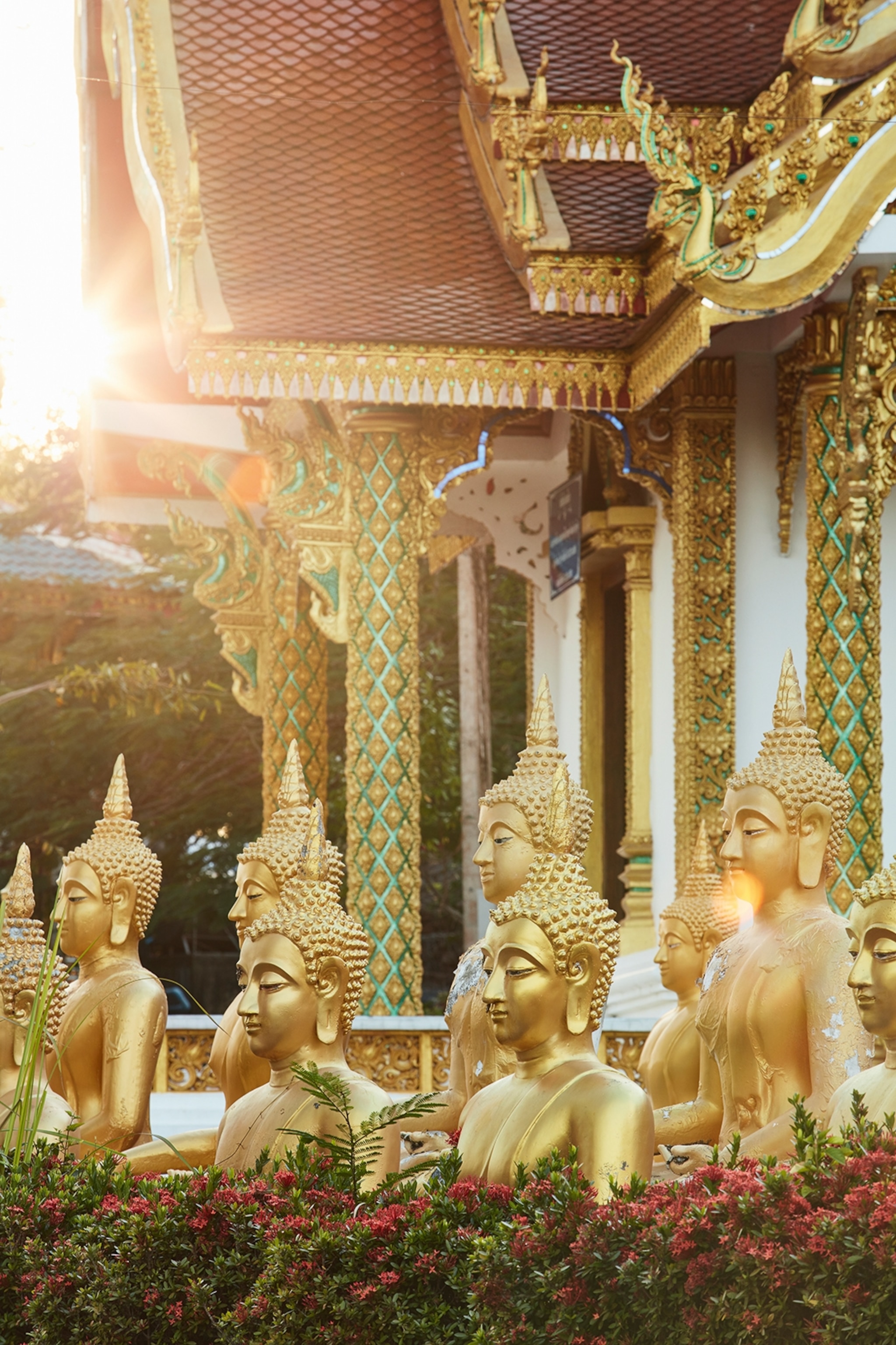 Rows of golden Buddha statues in front of the Buddhist temple.