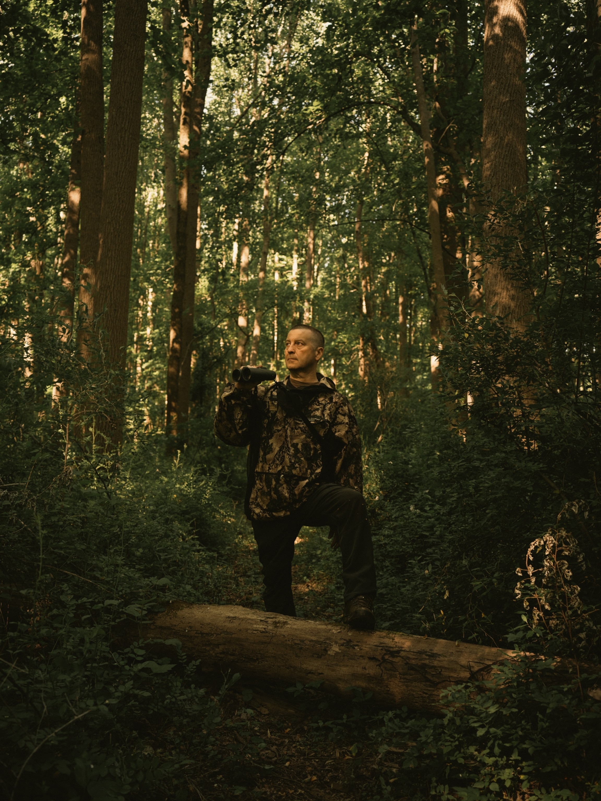 a man stands in the middle of a sun dappled forest, one leg resting on a fallen tree, hands holding binoculars
