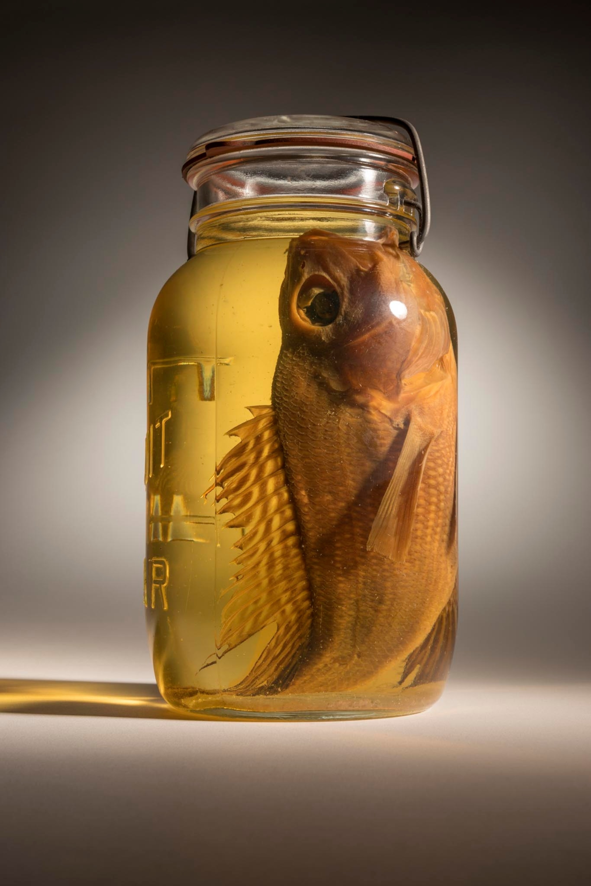 a black sea bass