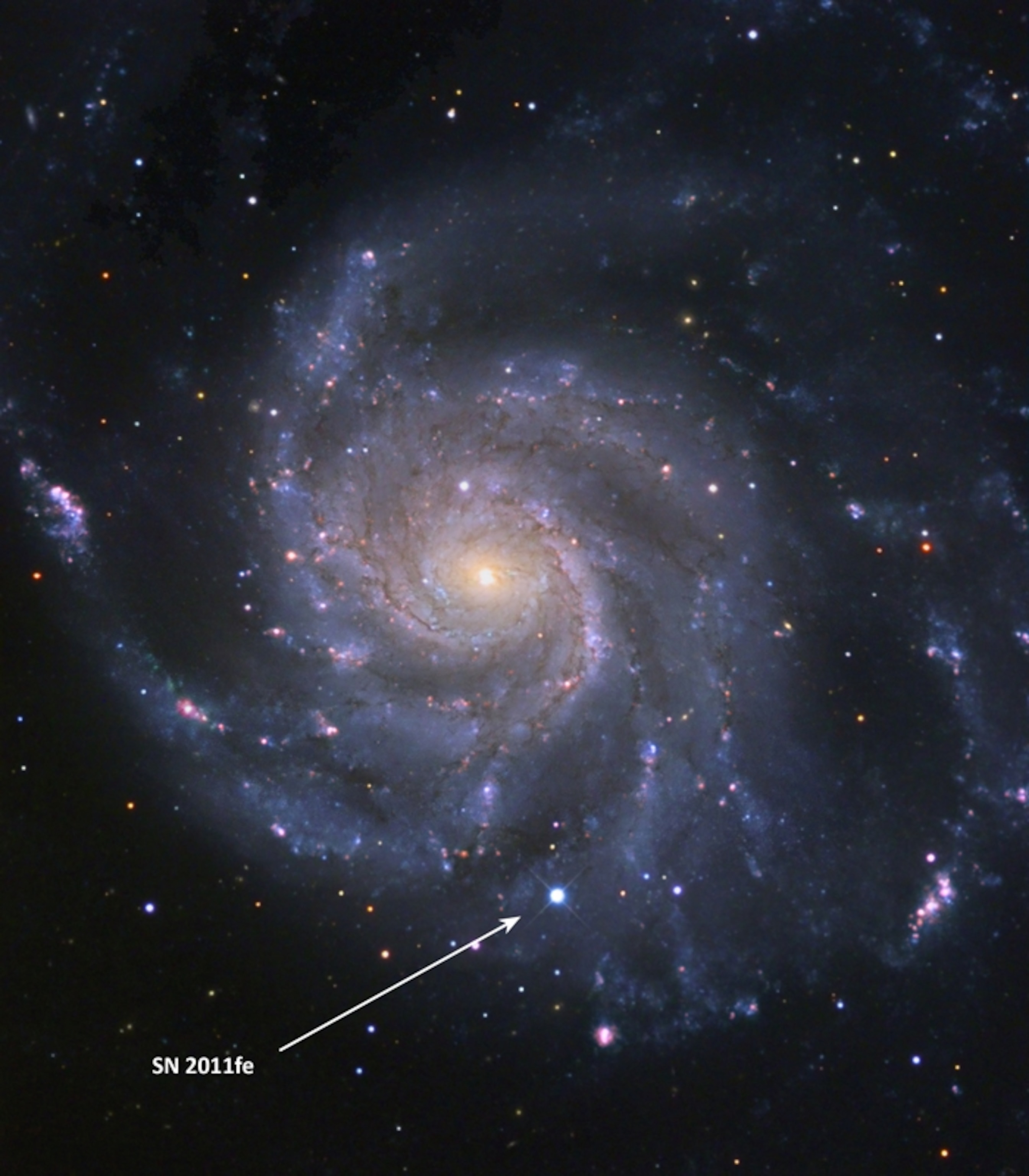 Supernova 2011fe exploded in the Pinwheel Galaxy, just 21 million light-years away. (Image by B. J. Fulton, Las Cumbres Observatory Global Telescope Network.)