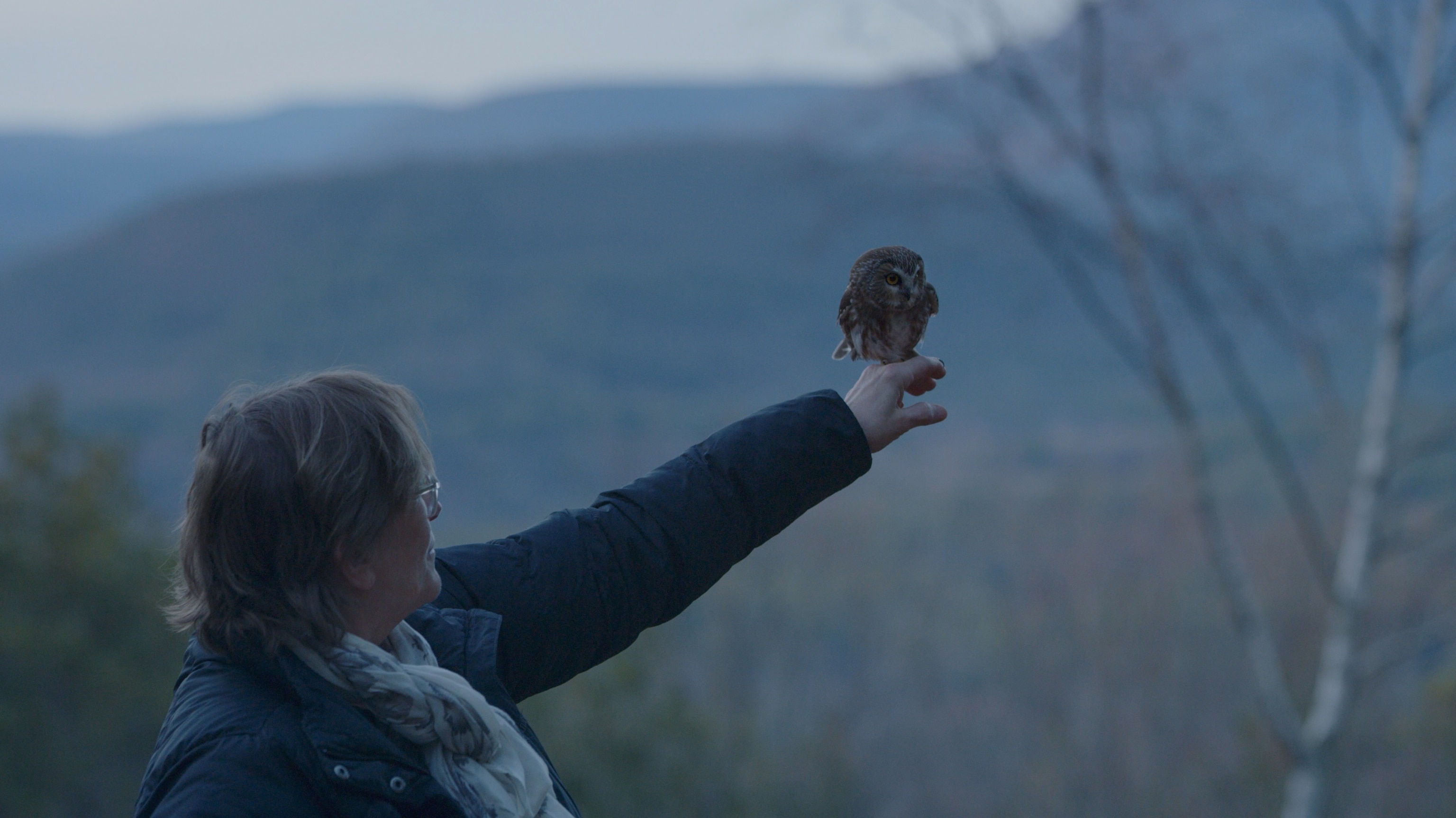 a woman with her arm outstretched with an owl perched on her hand