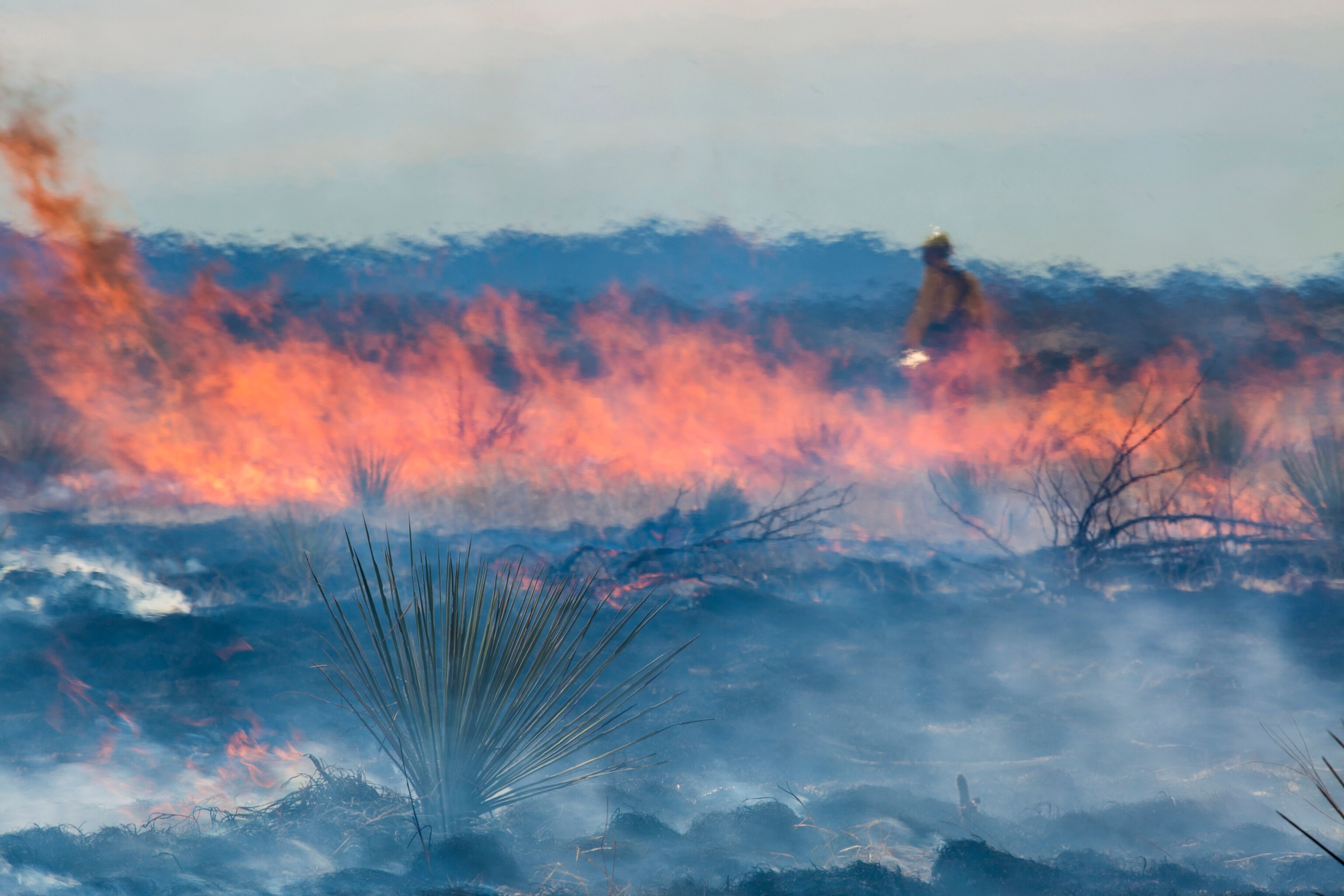 a wildland firefighter obscured by heat radiation and smoke monitoring a low lying controlled burn