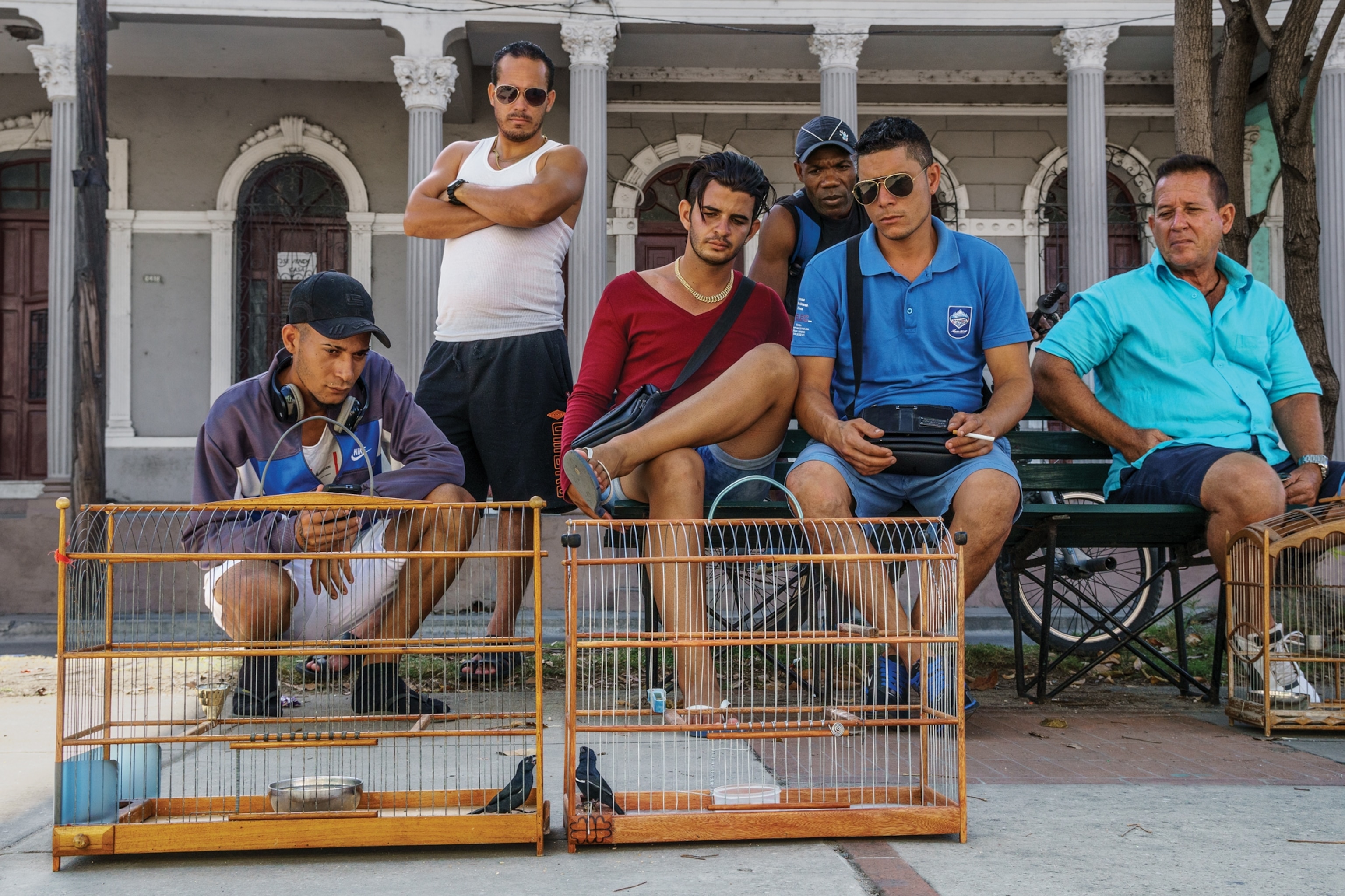 Picture of a group of men watching as two birds sing from adjacent cages.