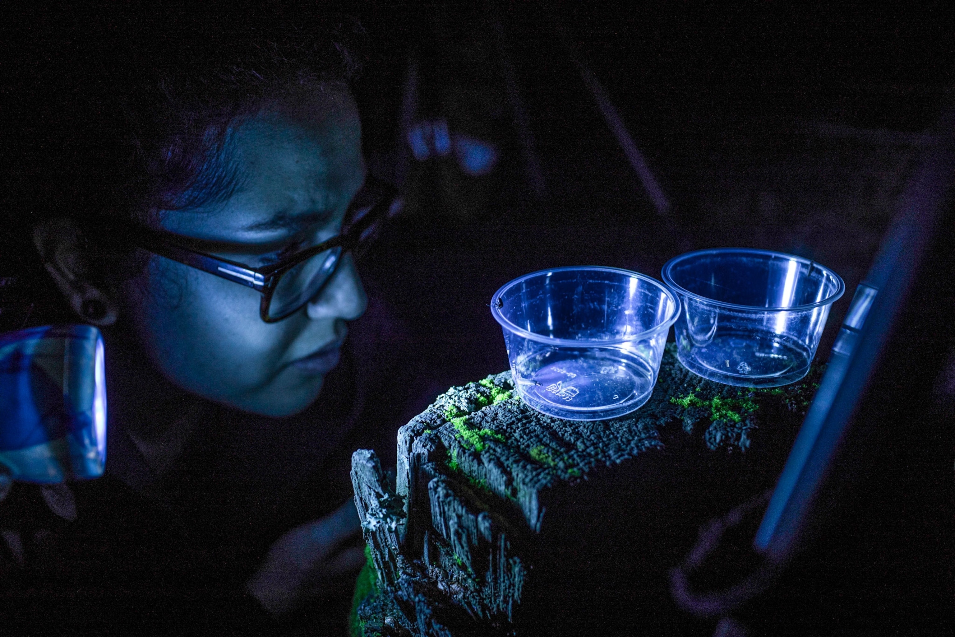 a woman looking at fireflies