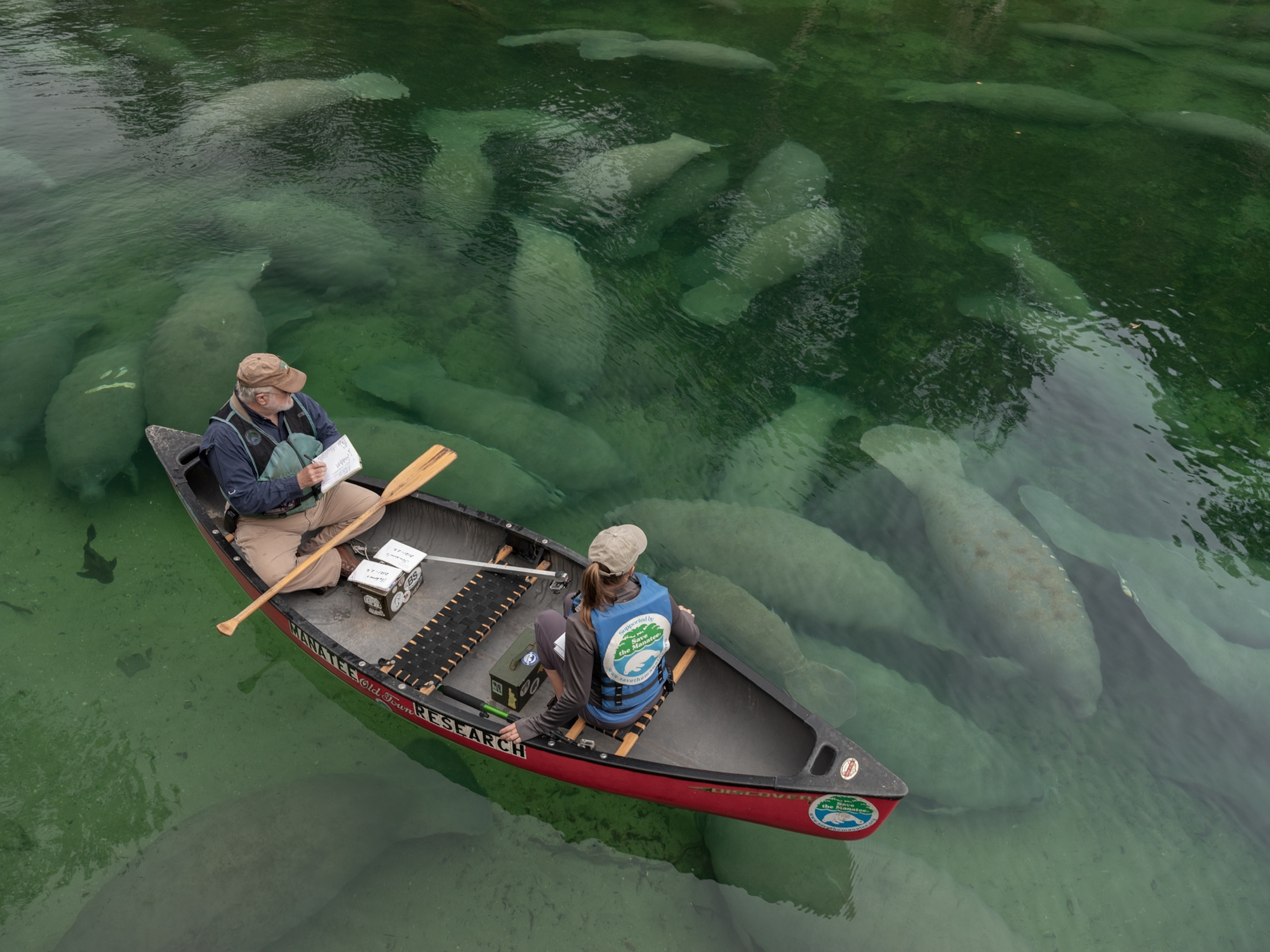 Picture of two people sitting on opposite ends of a Canoe in the water above a large group of more than twenty manatees.