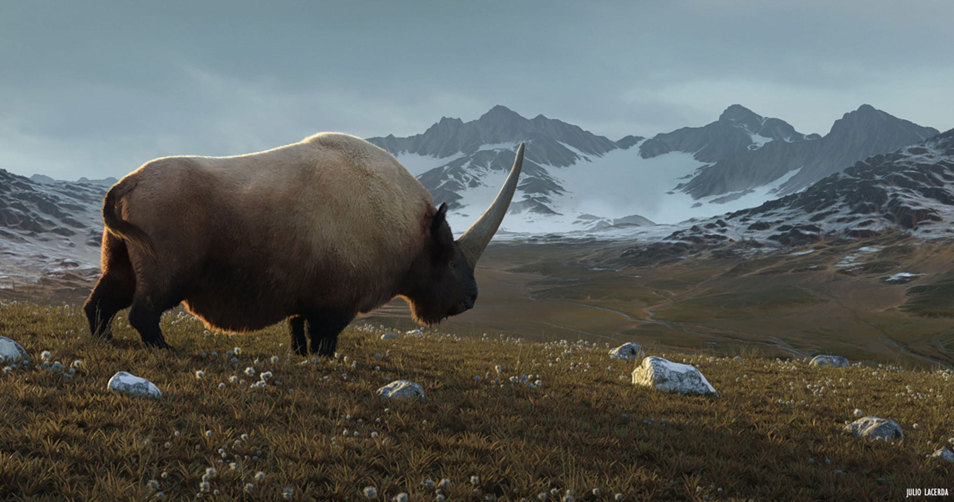 illustration shows the last unicorn gazing out across a rugged landscape