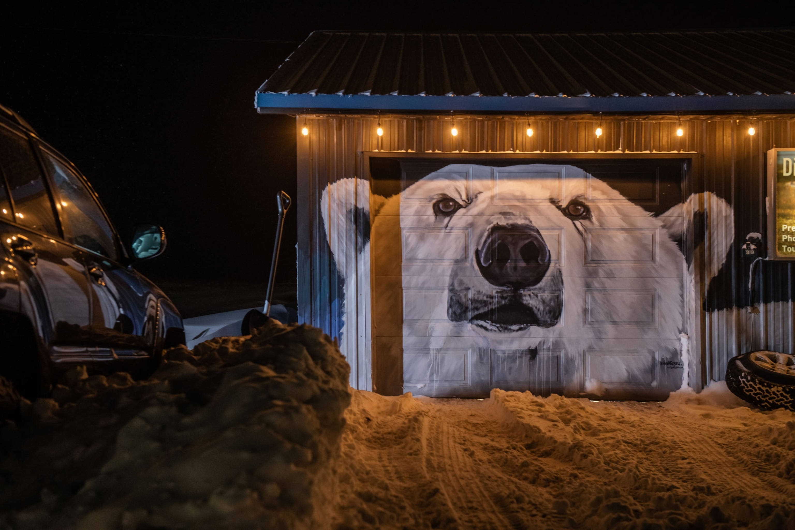 a mural of a polar bear painted on the side of a garage