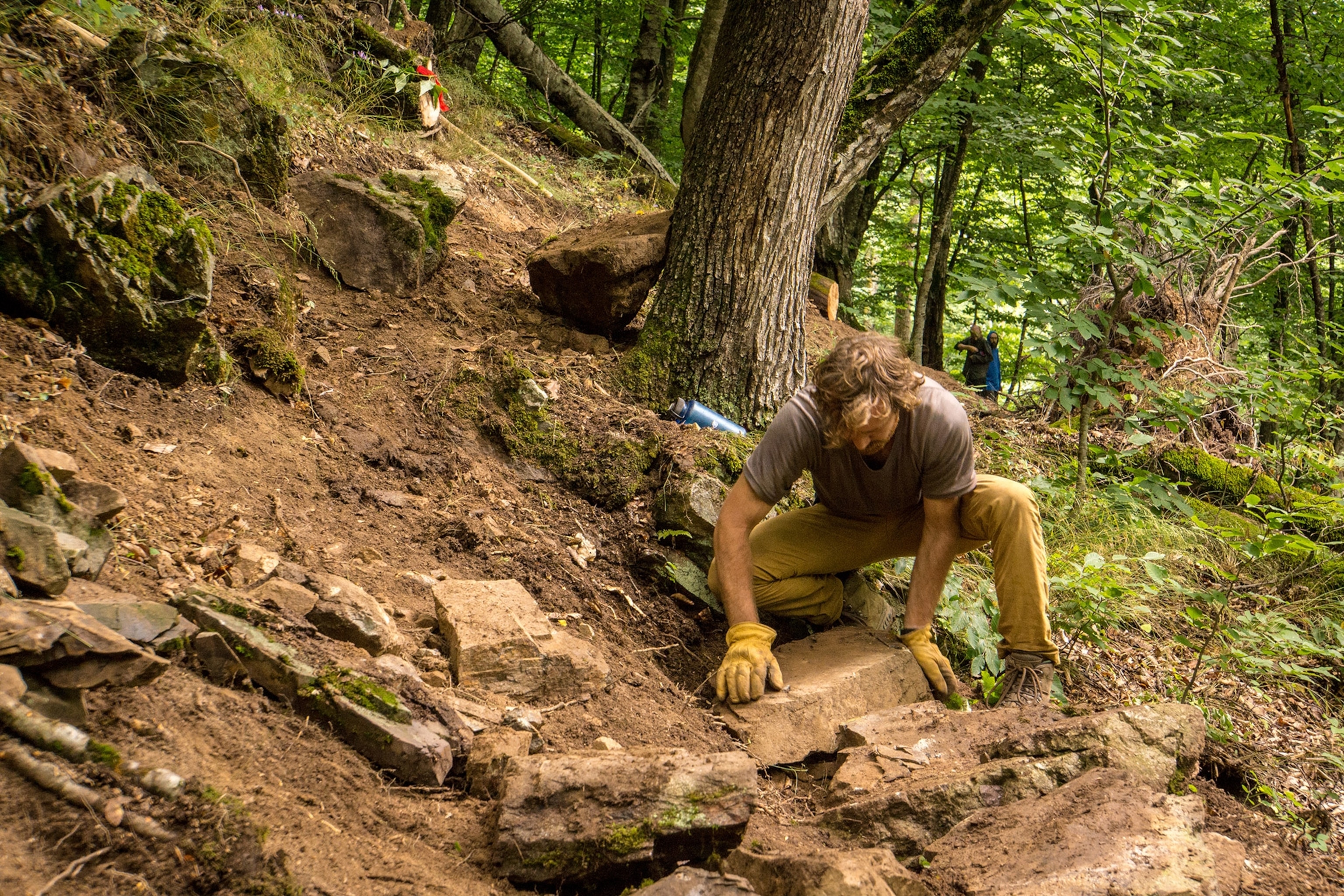 Dilijan Trailbuilding in the forest