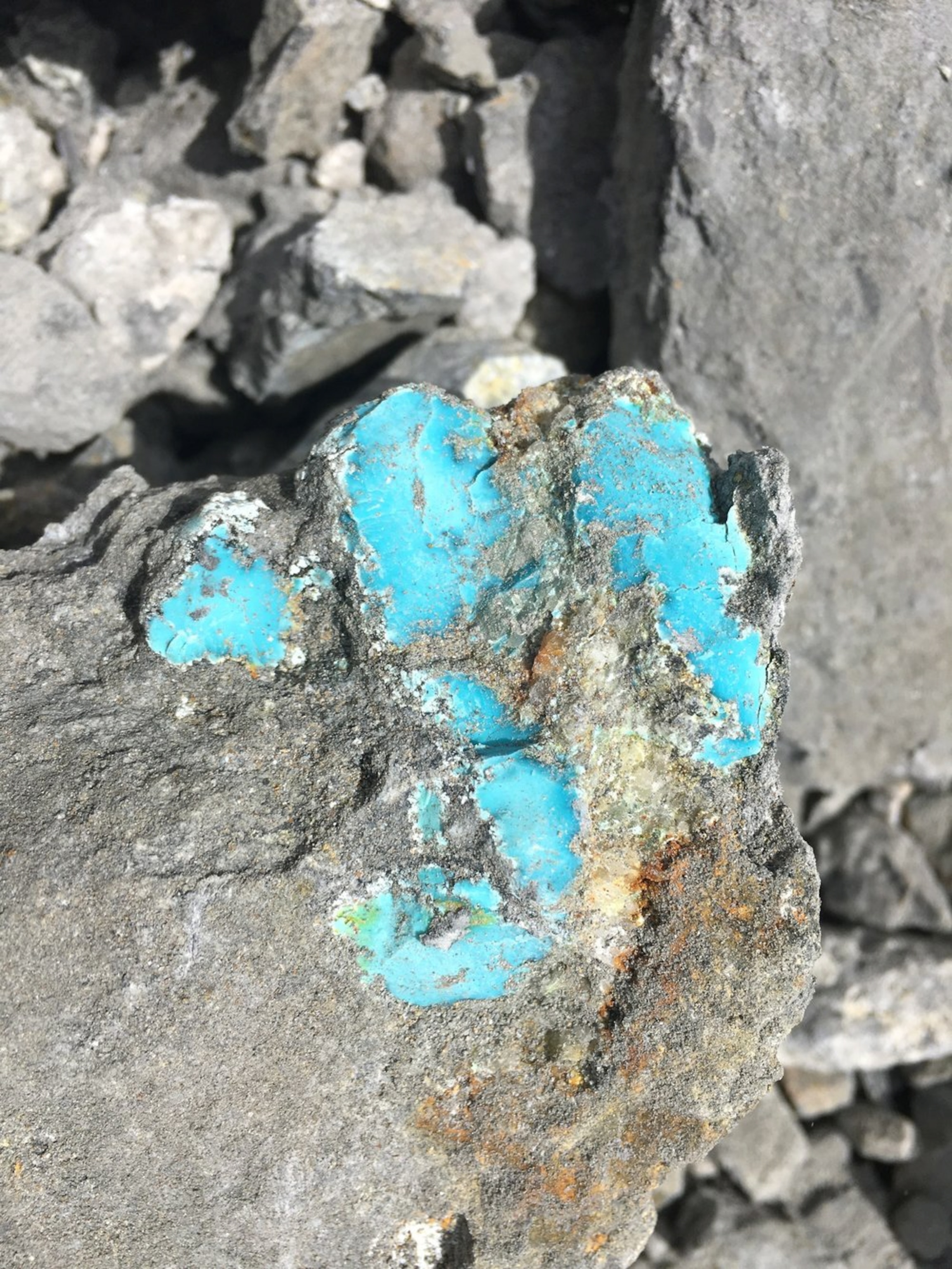 Blue Stones stick out of grey rock