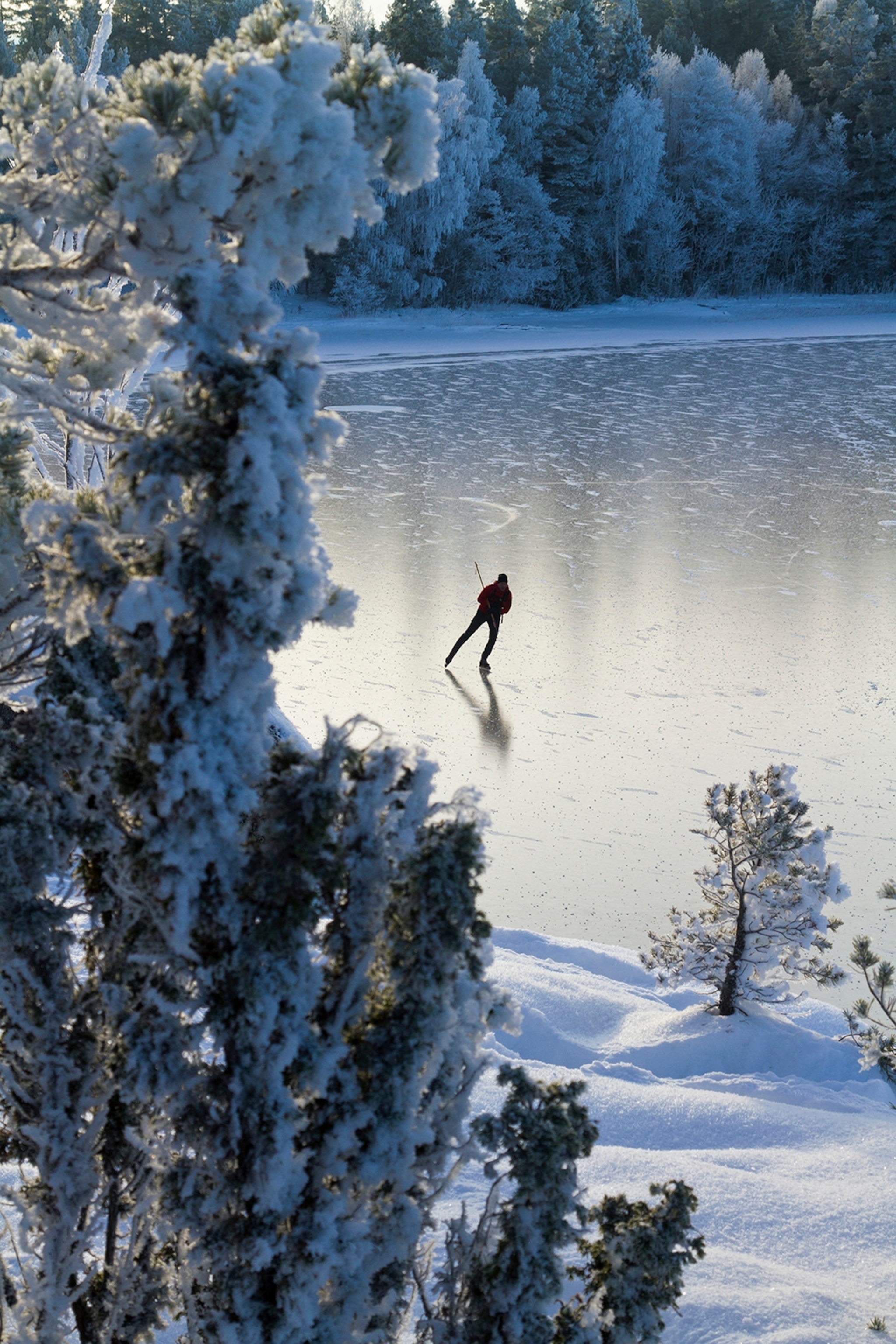 A look through trees at single skater going over a frozen lake at sunset