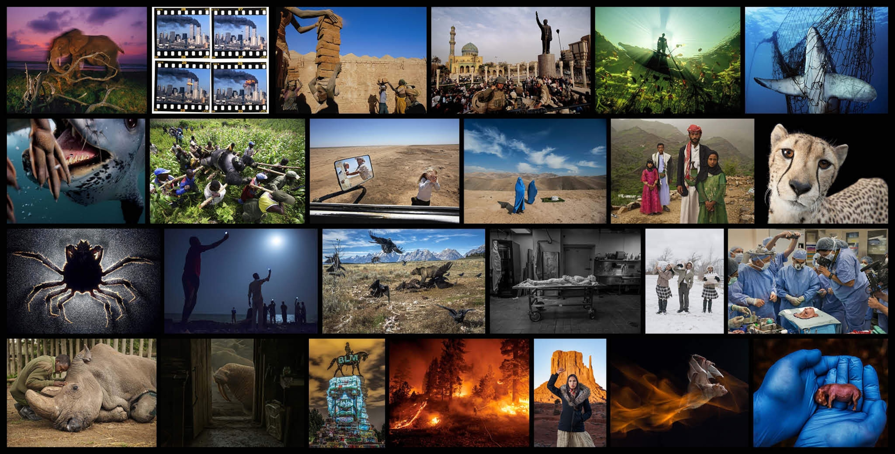 A collage of the 25 best pictures of the years. Grid/Image created by Linda Makarov.