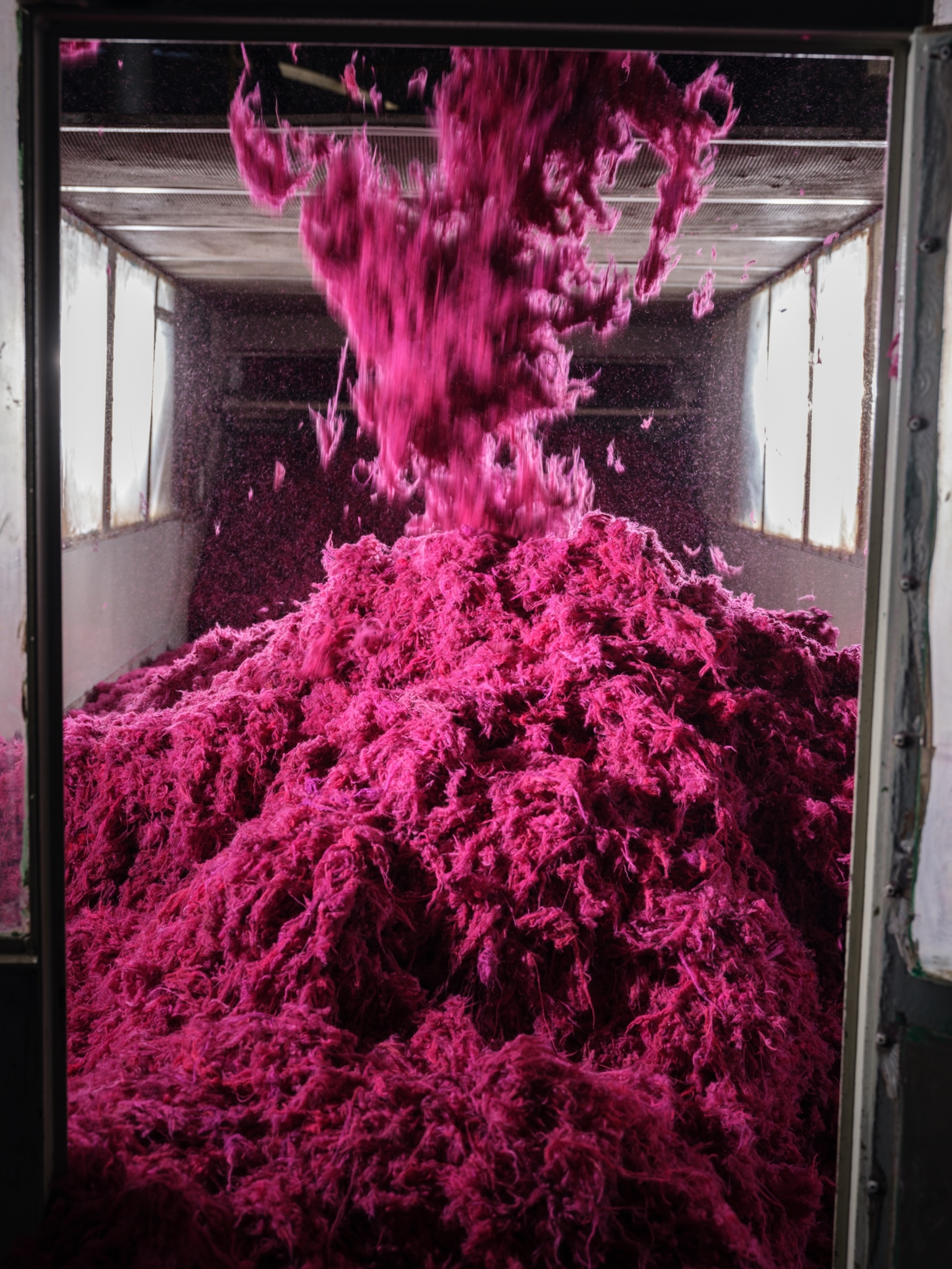 Bright pink wool being processed