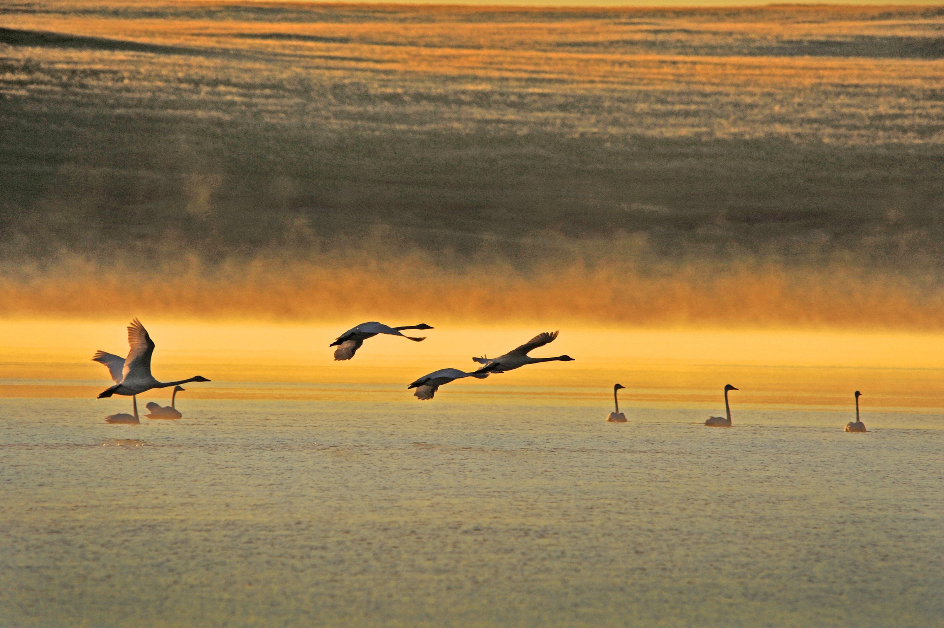 the Torey Lakes in the morning