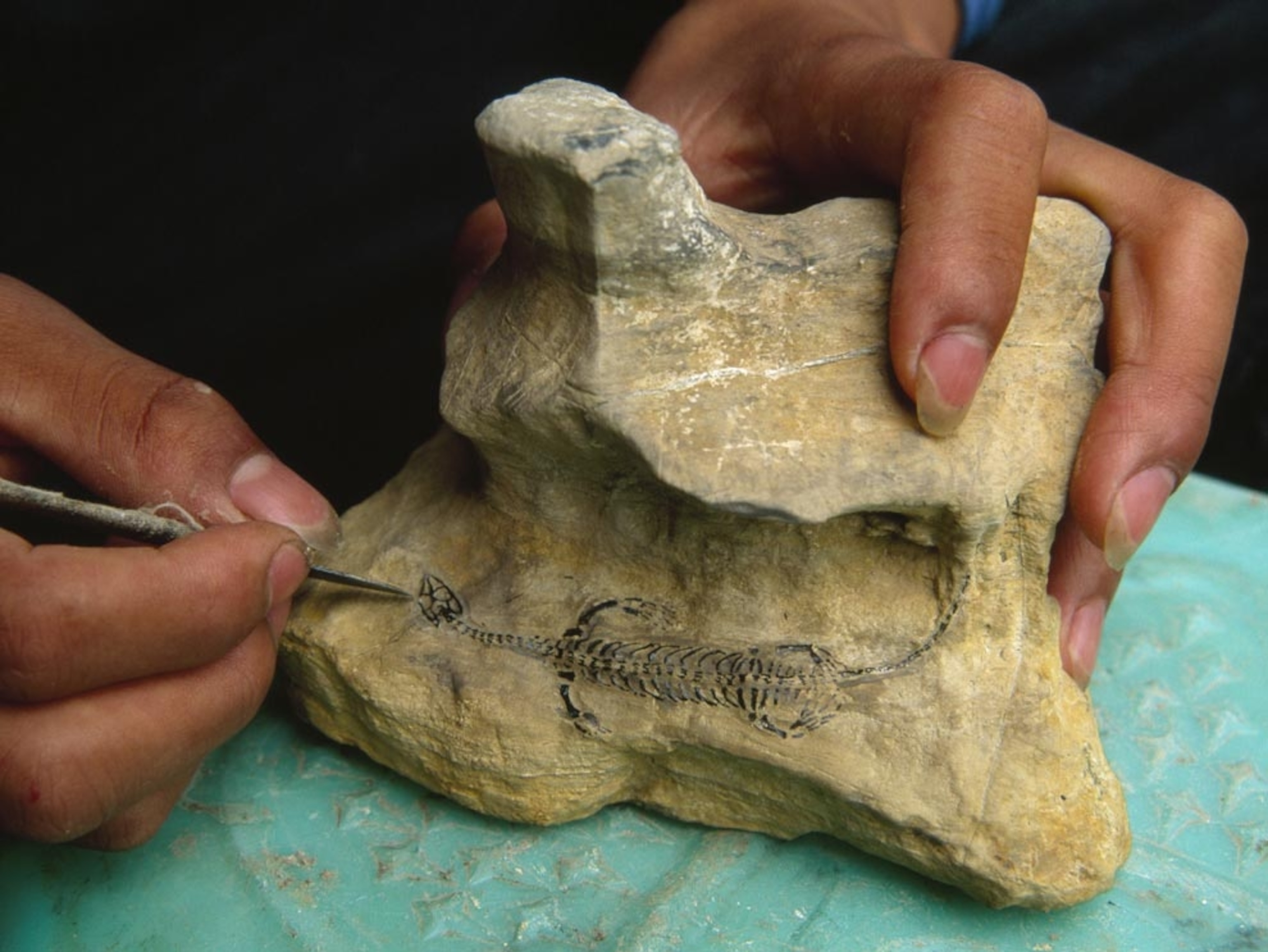Sea dragon carving.