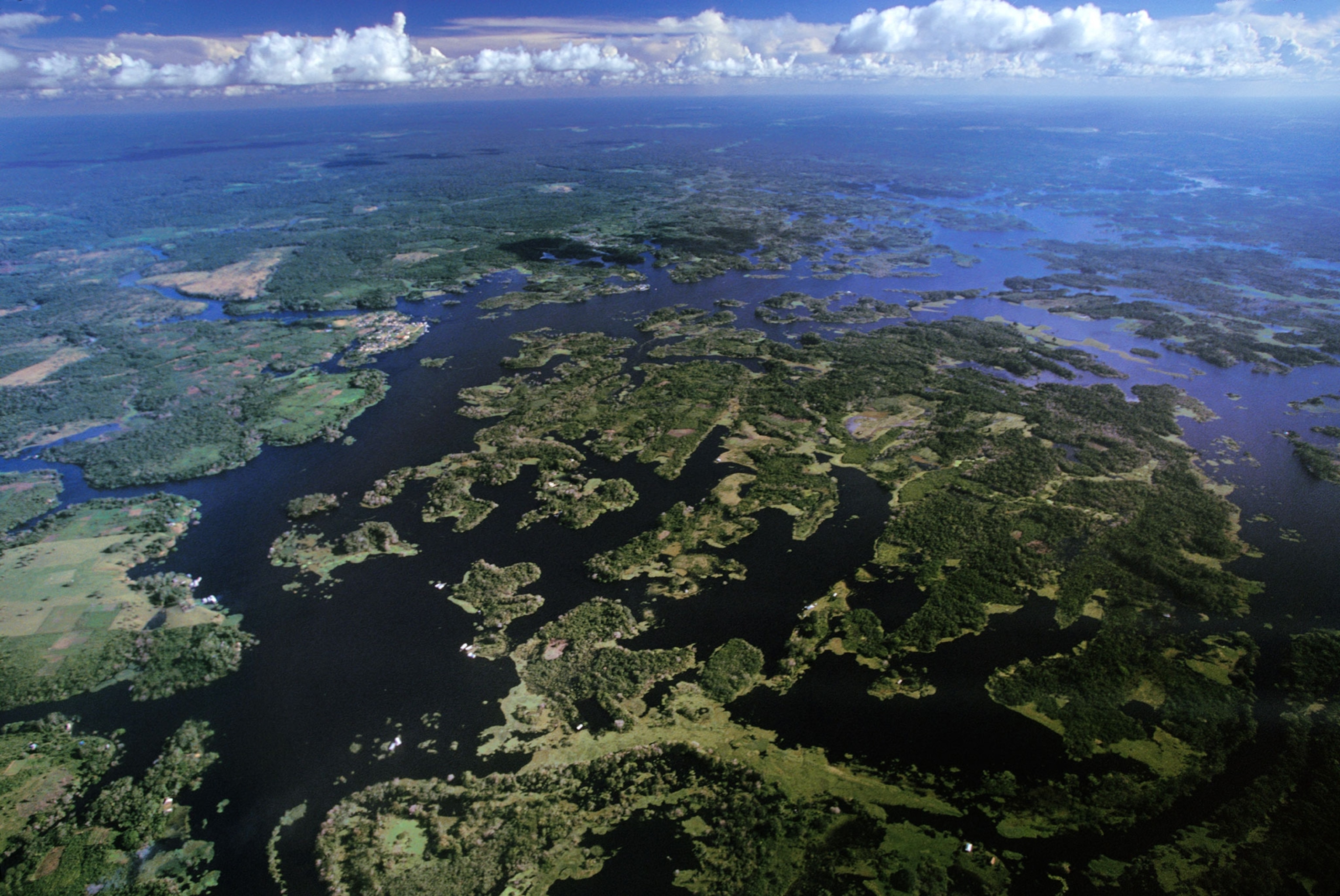 the Amazon during flood season