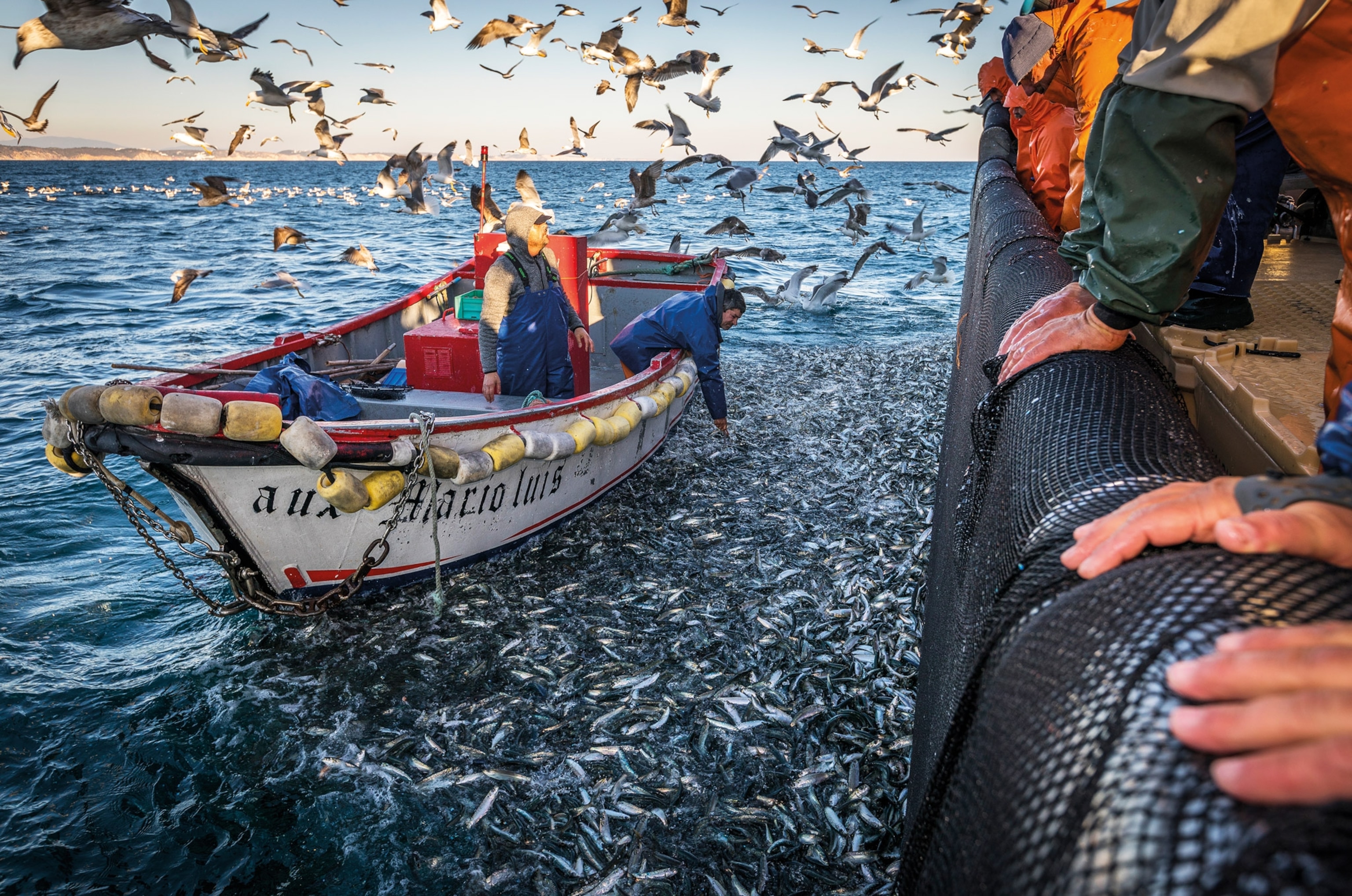 Photograph by João Rodrigues