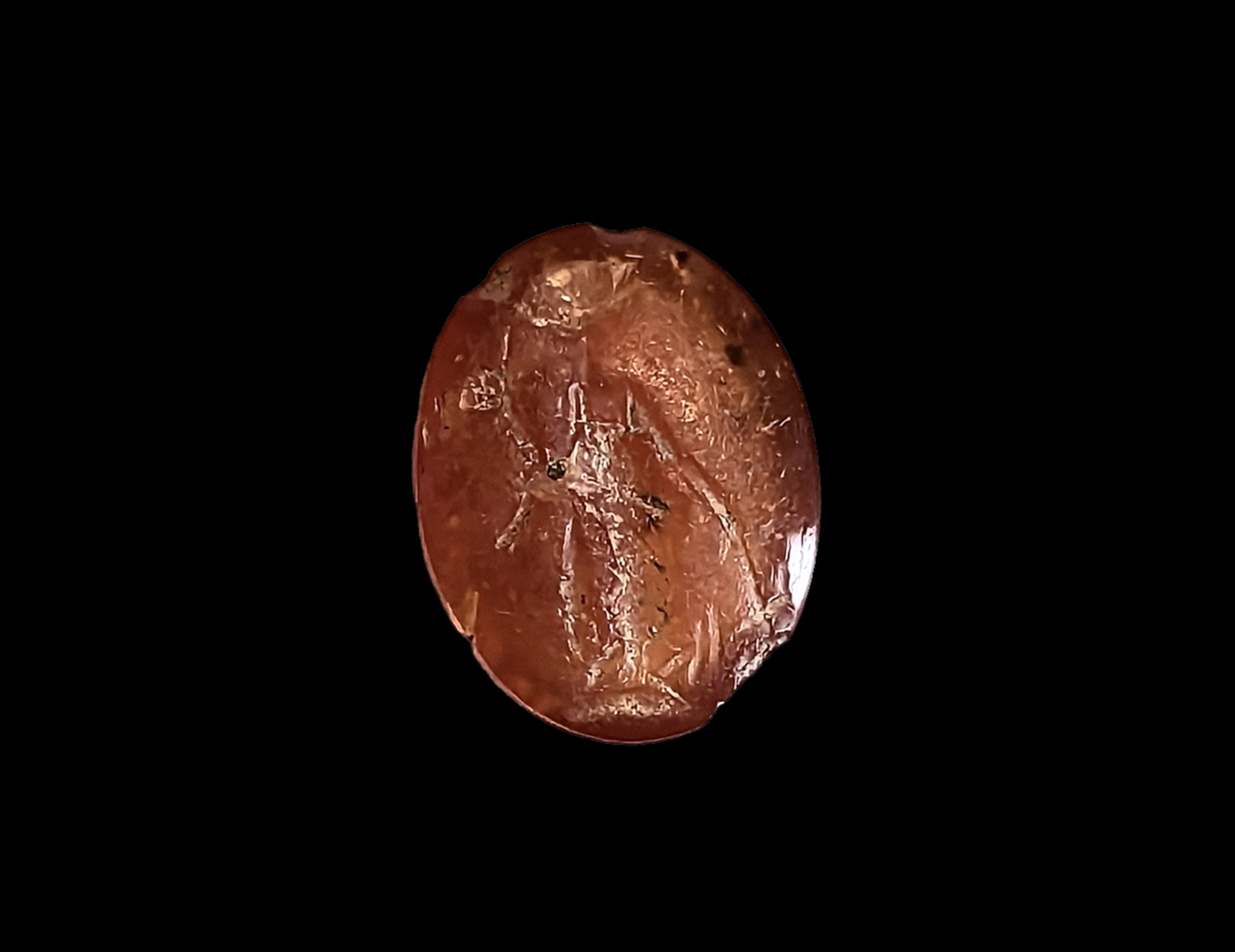 A Genius, wearing a toga and veiled as though performing a sacrifice, stands to the front. He holds a cornucopia in his right hand; his left is lowered and he appears to be holding a staff or short sceptre. Ground line. Yellow cornelian