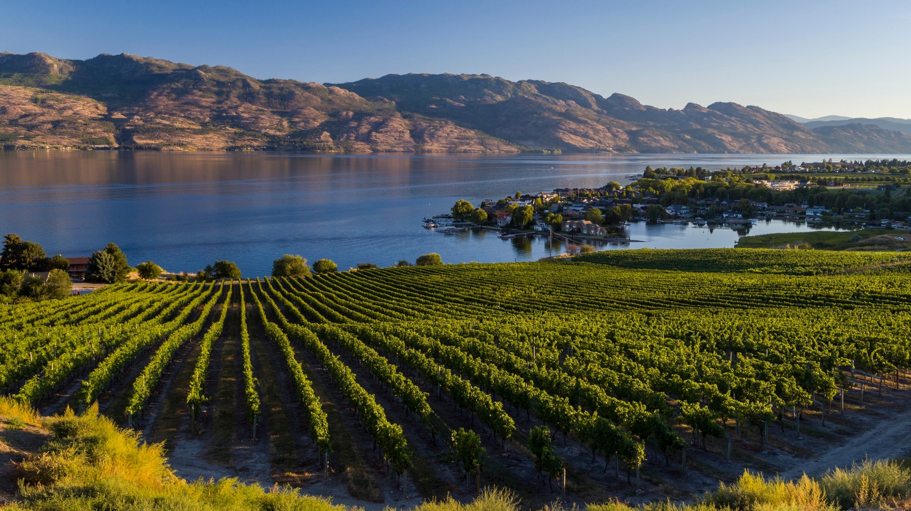 Peacefull sunset watching the Vineyards in Kelowna