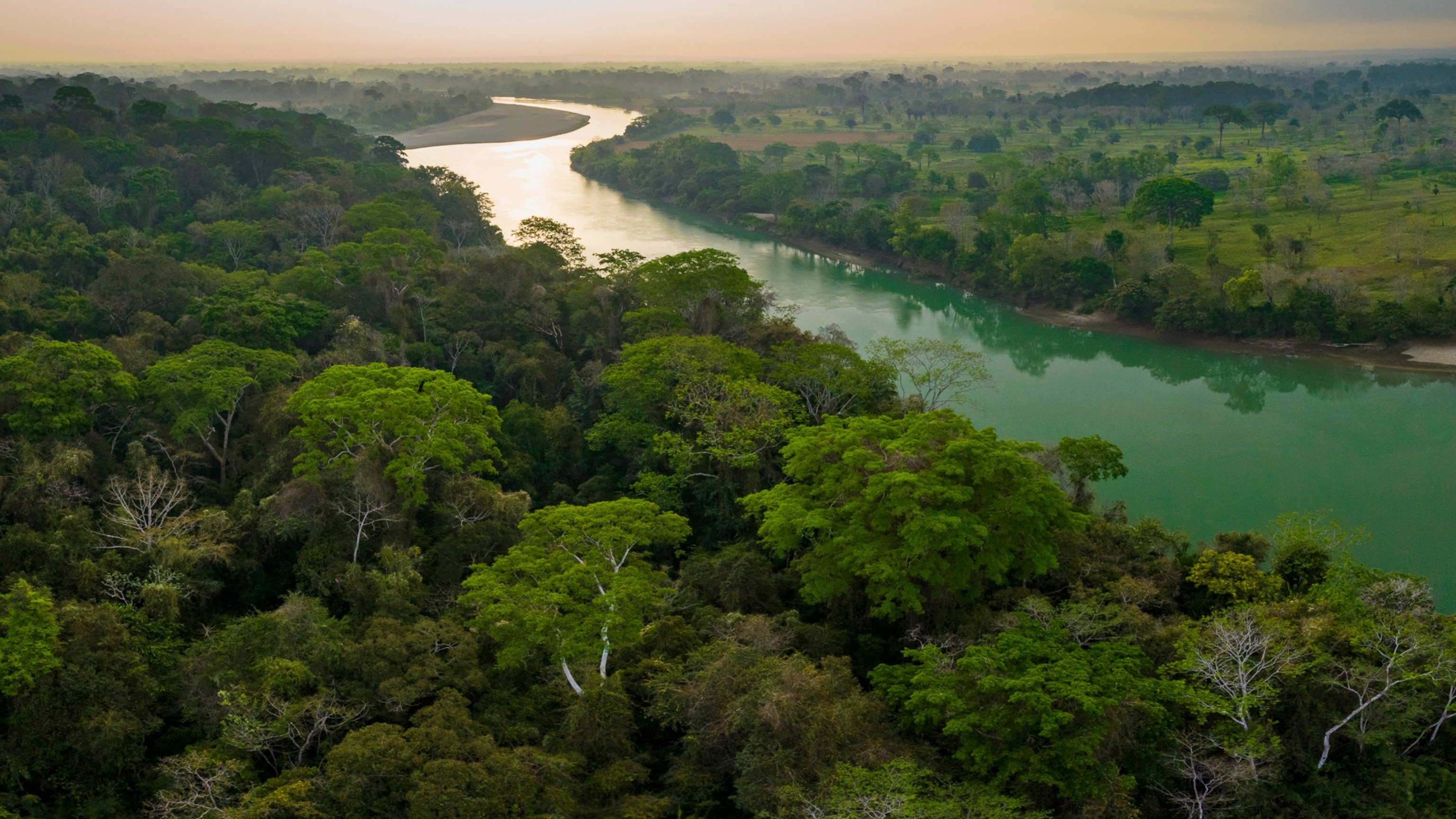 Light illuminates a river and then a lush forest growing around it.