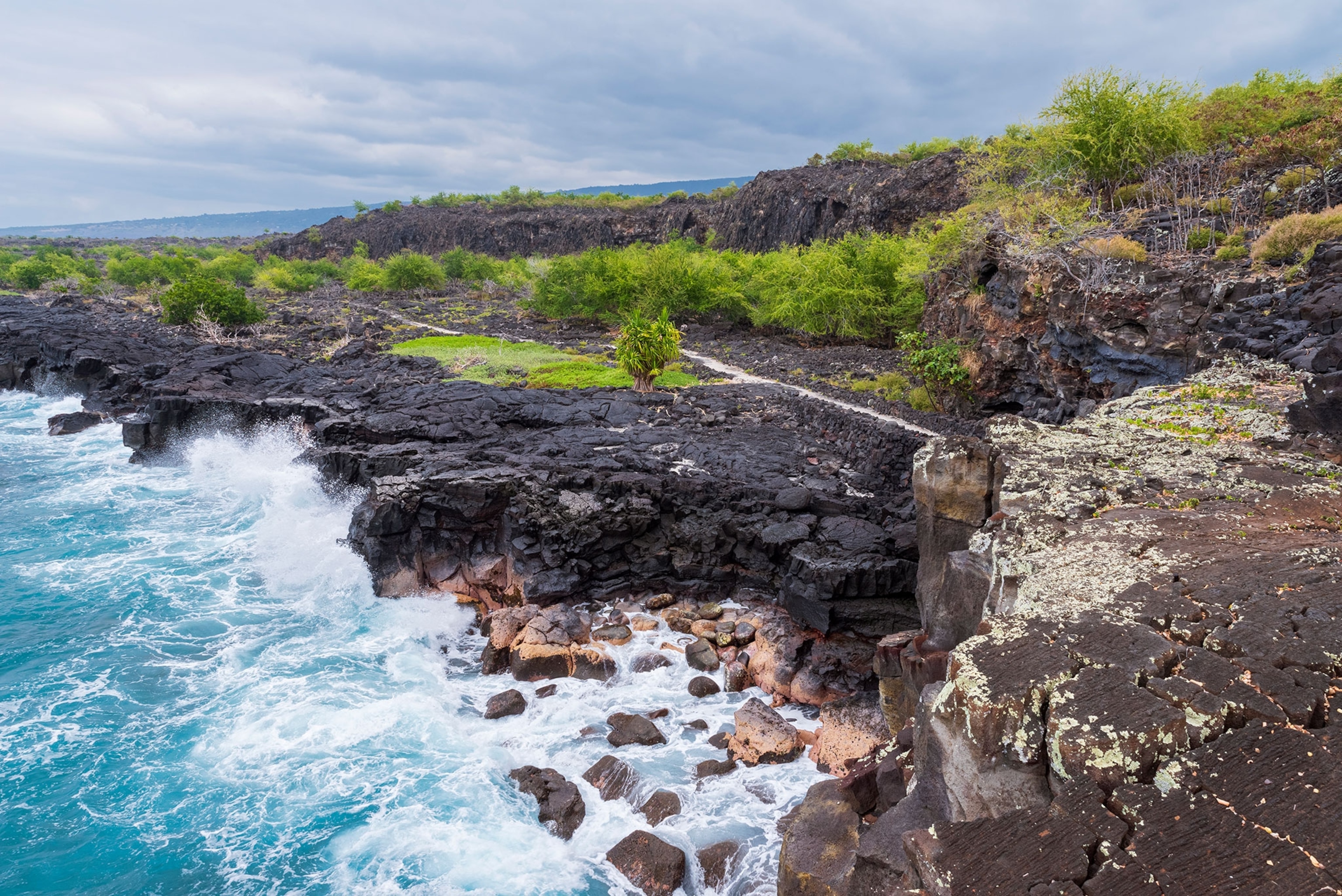 Overlooking a rocky, black and brown, cliff next to the ocean with waves crashing up against the rocks. There are some new grass and trees growing from the black rocks.