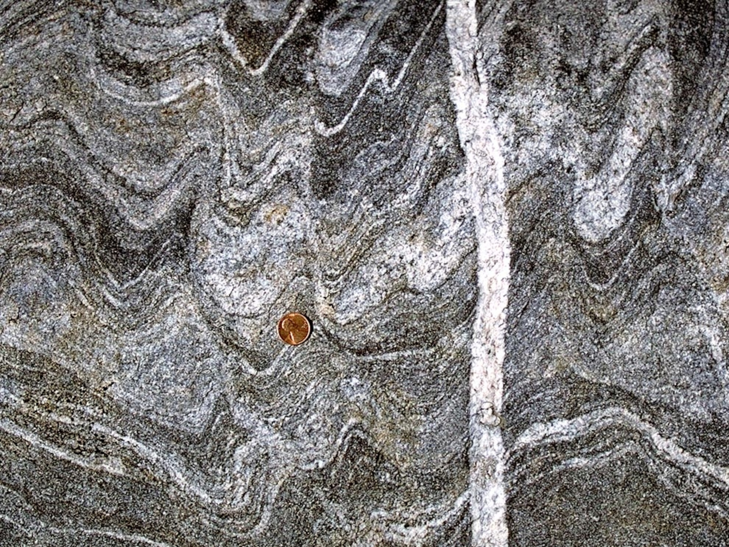 White rock in folded gneiss
