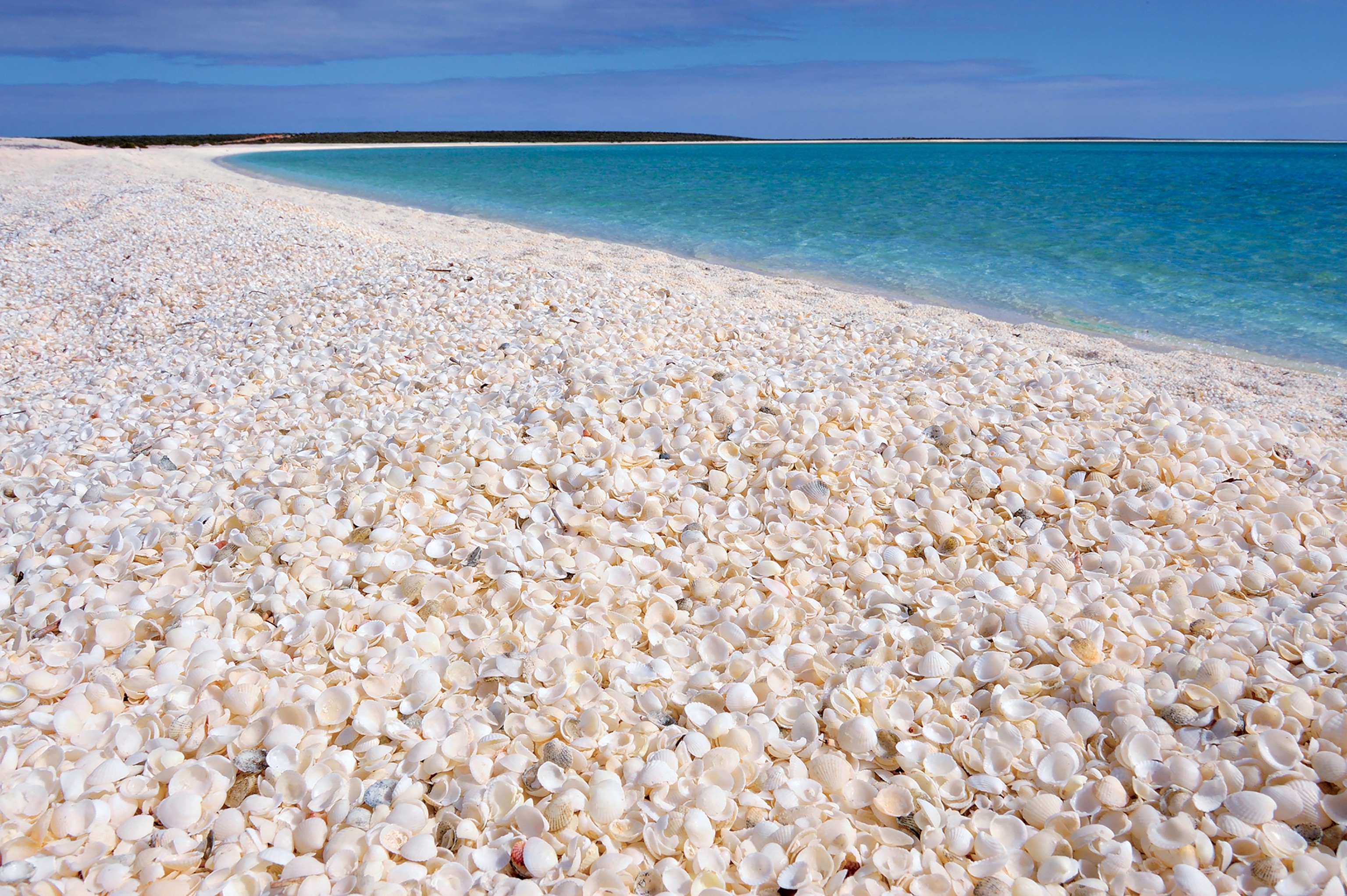 Shell Beach in Shark Bay, Western Australia