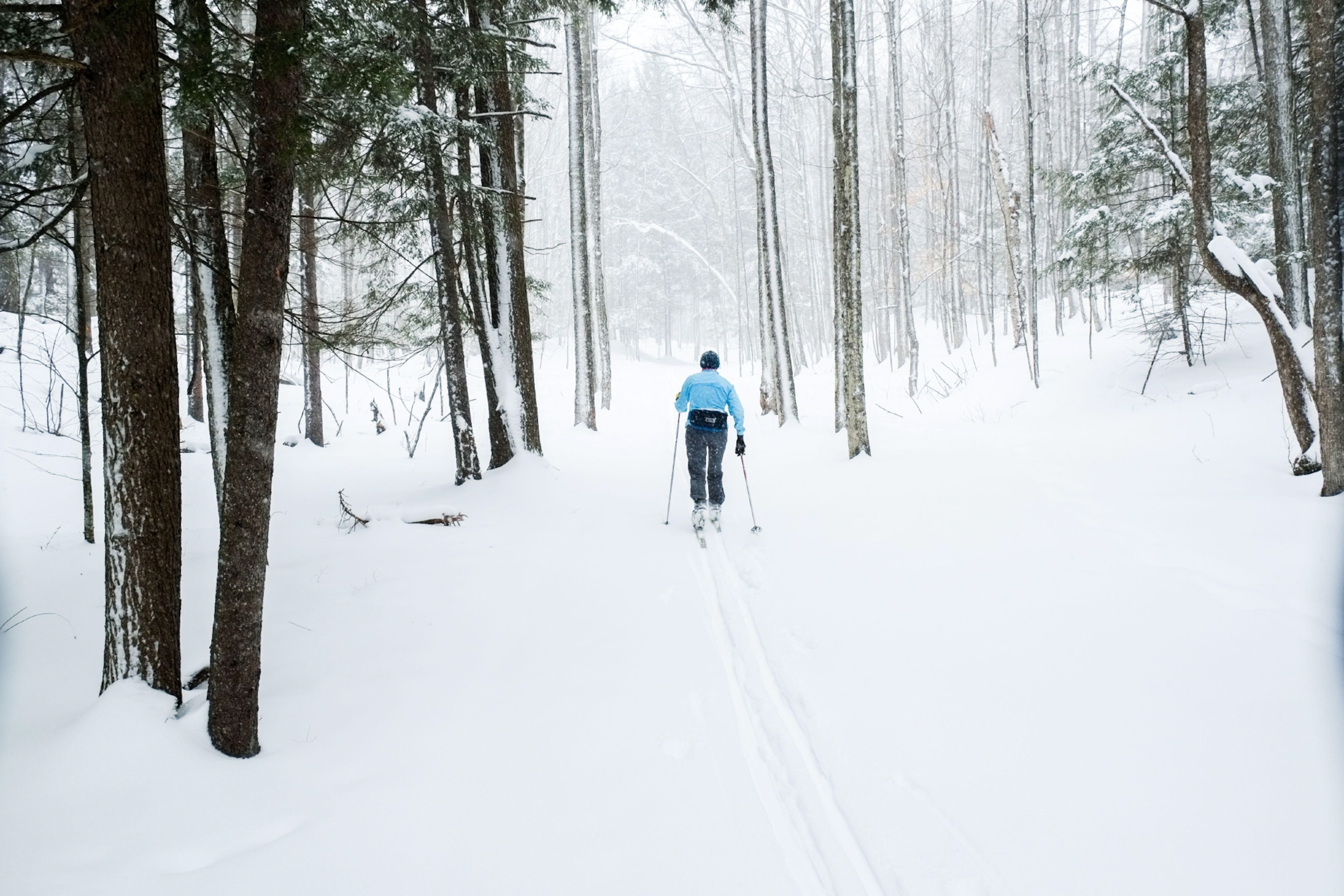 A cross country skier skis through new snow