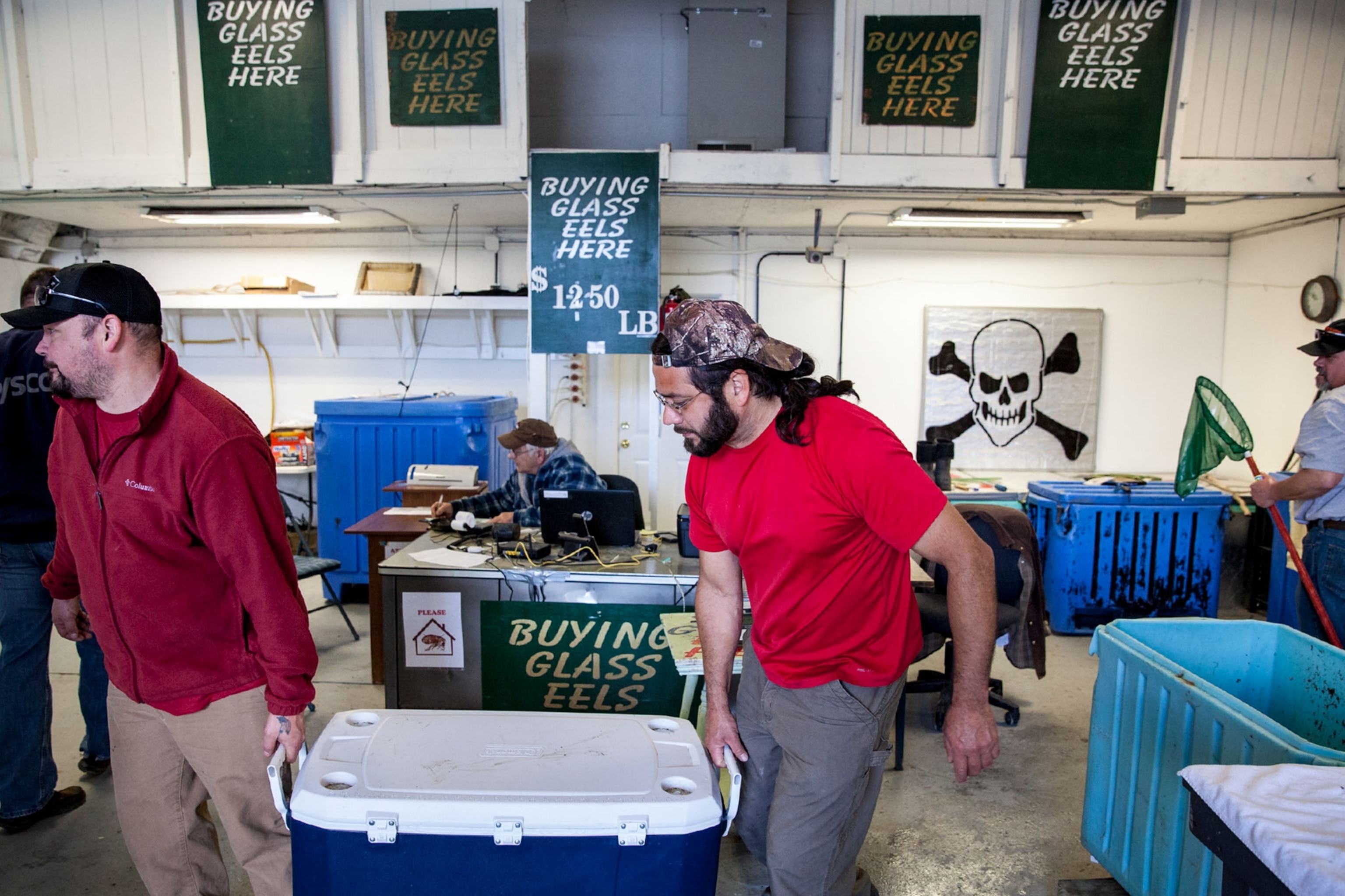 people carrying coolers full of eels in a warehouse
