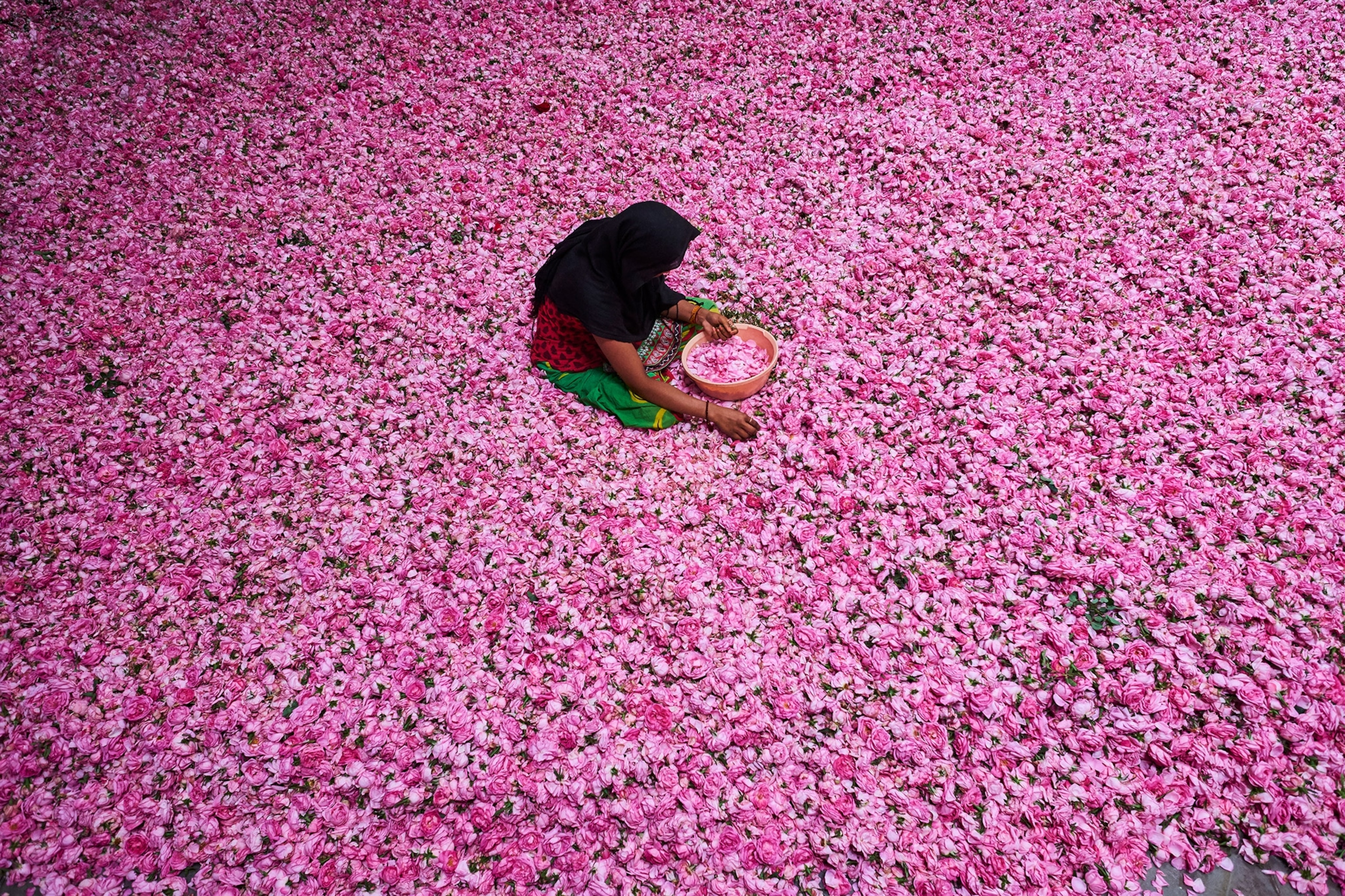 a woman sitting in the middle of flowers as she sorts them
