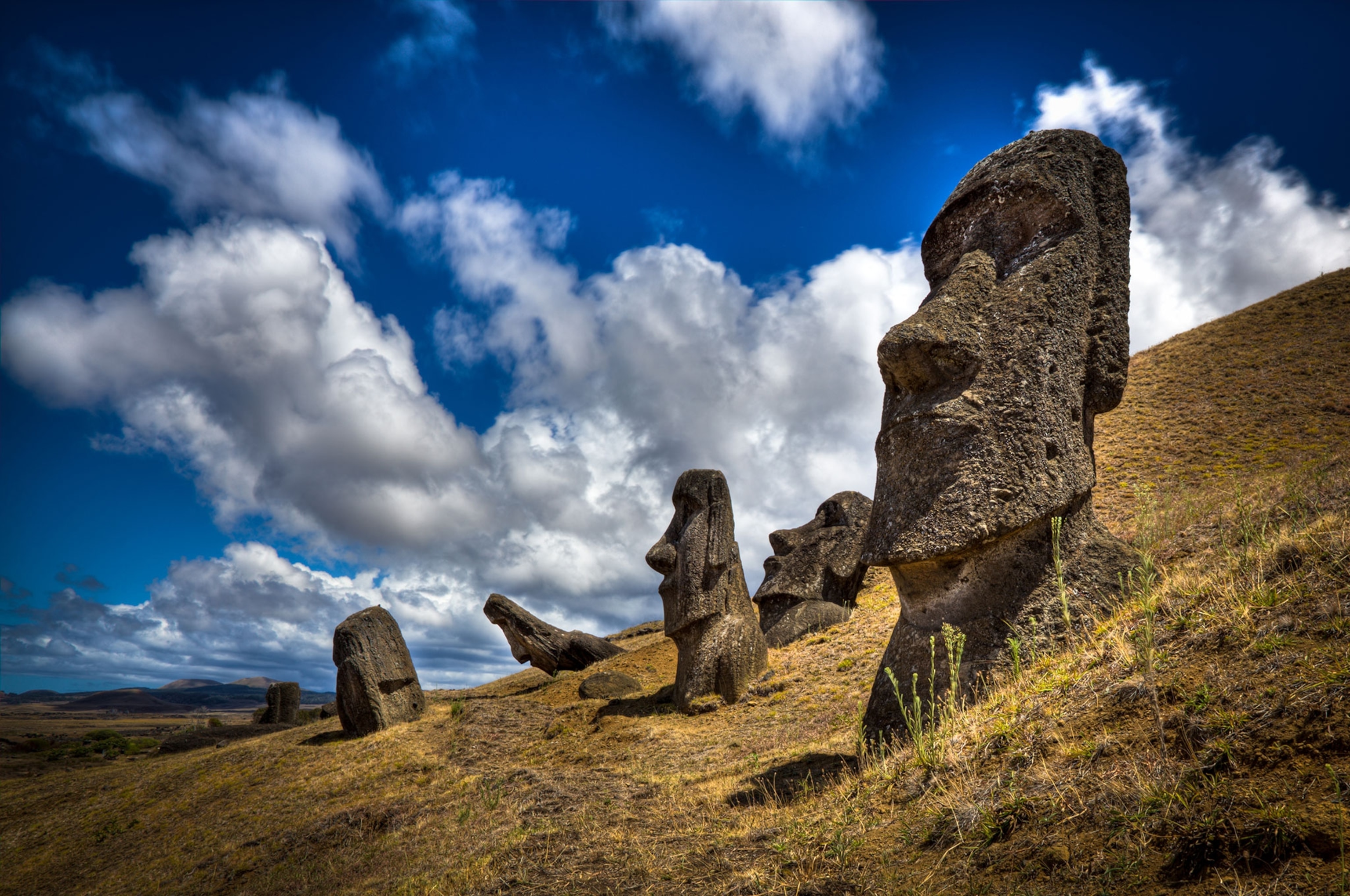 A large, dark grey, carved, human figure Moais statue standing in a grassy field and blue skies with smaller Moasis statues in the distance.