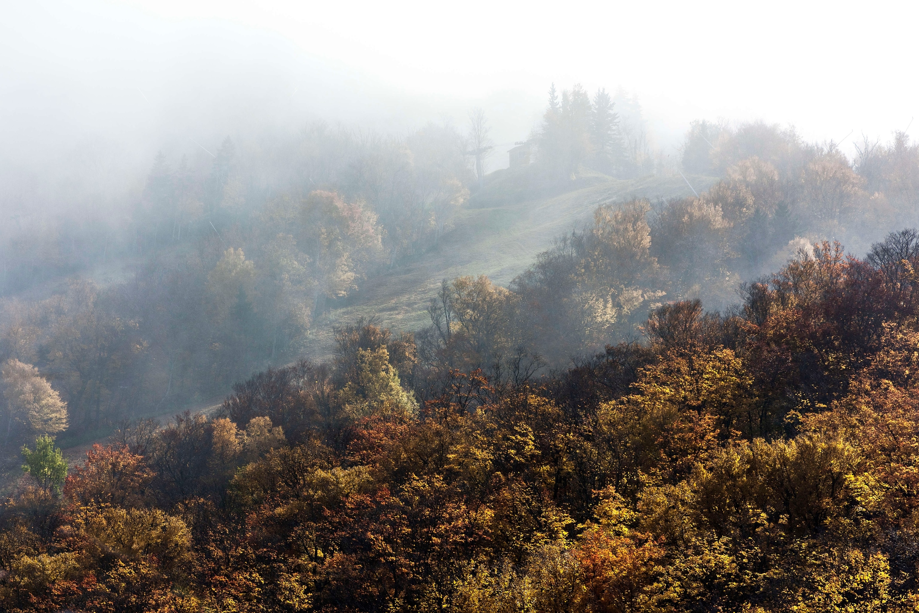 Autumn Cannon Mountain detail with rolling mist