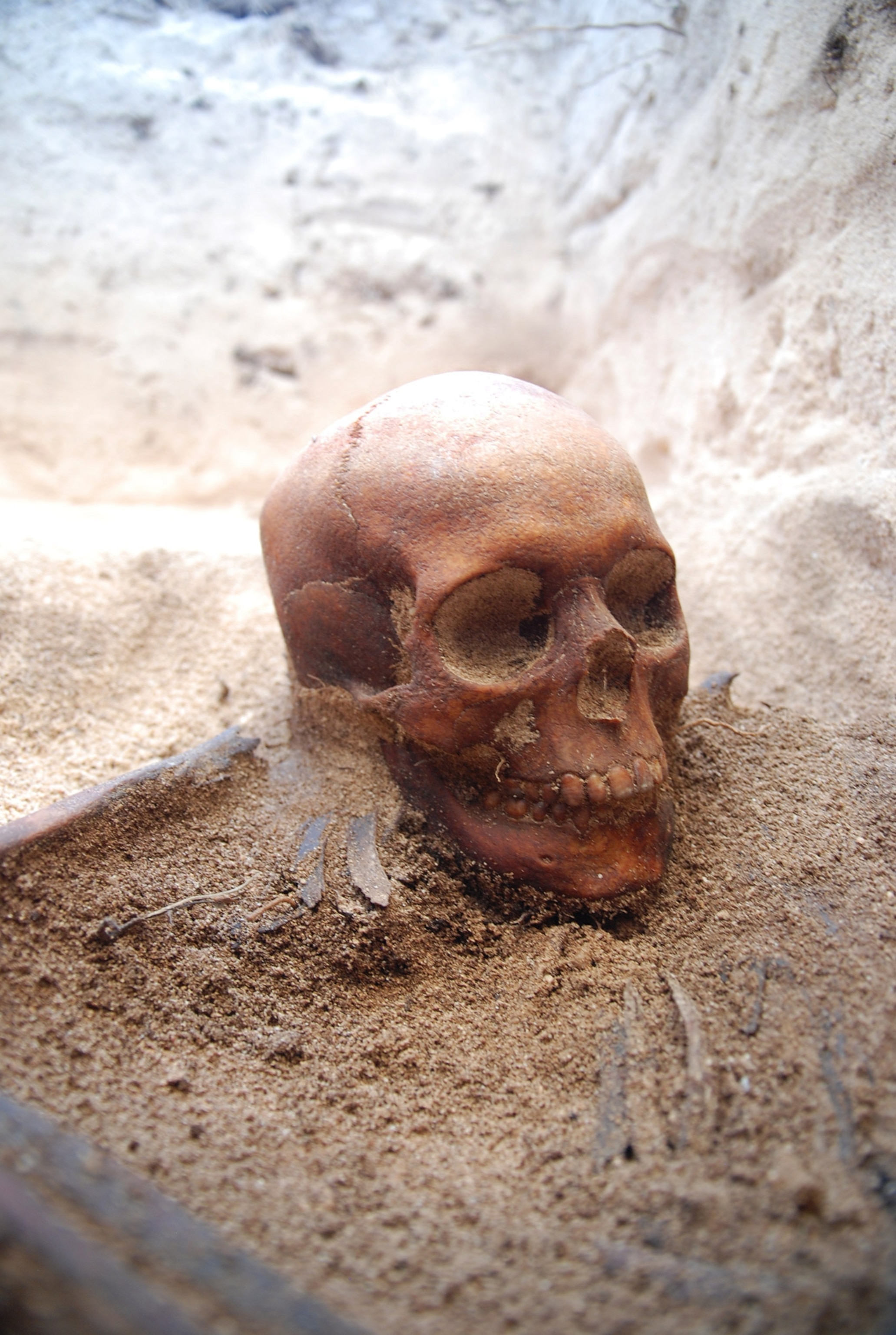 A close up of a scull in grave.