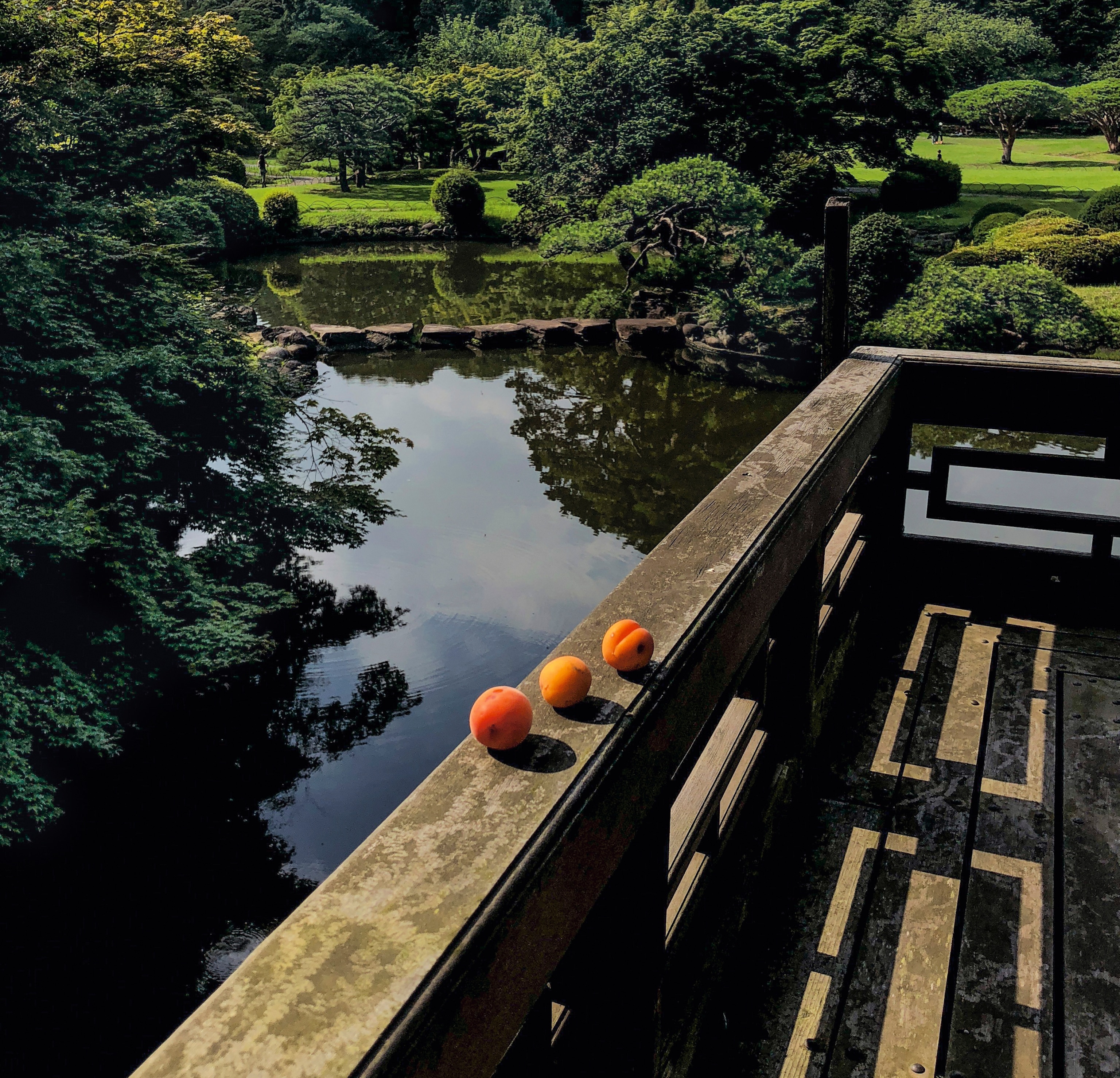 Apricots on a railing outside a pavilion at Shinjuku Gyoen National Garden.