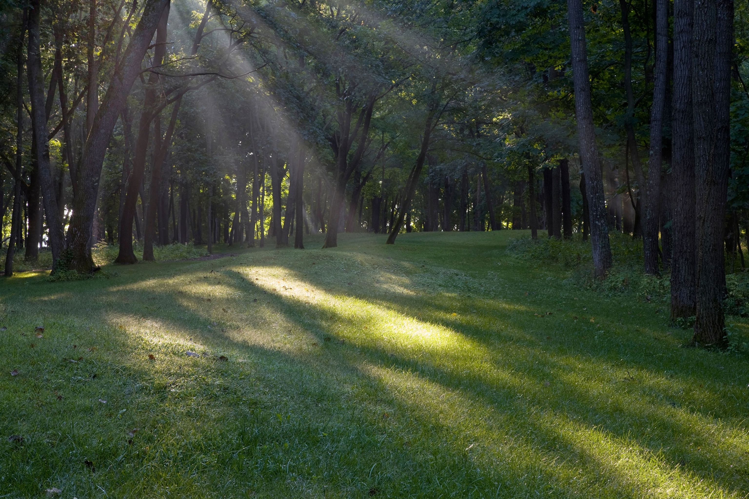 Native American burial mounds in Effigy National Monument, Iowa