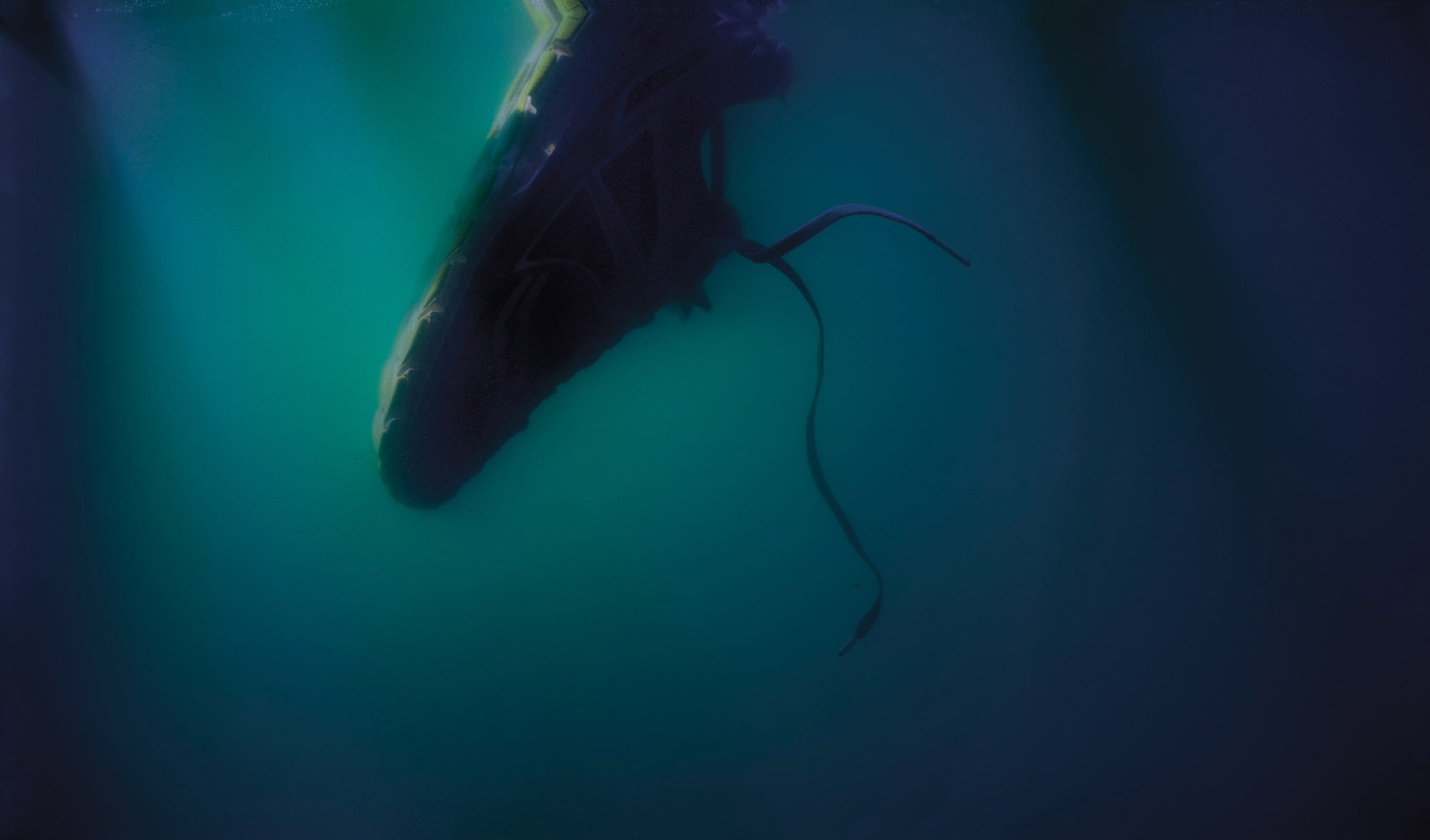 A shoe floats in murkey water.