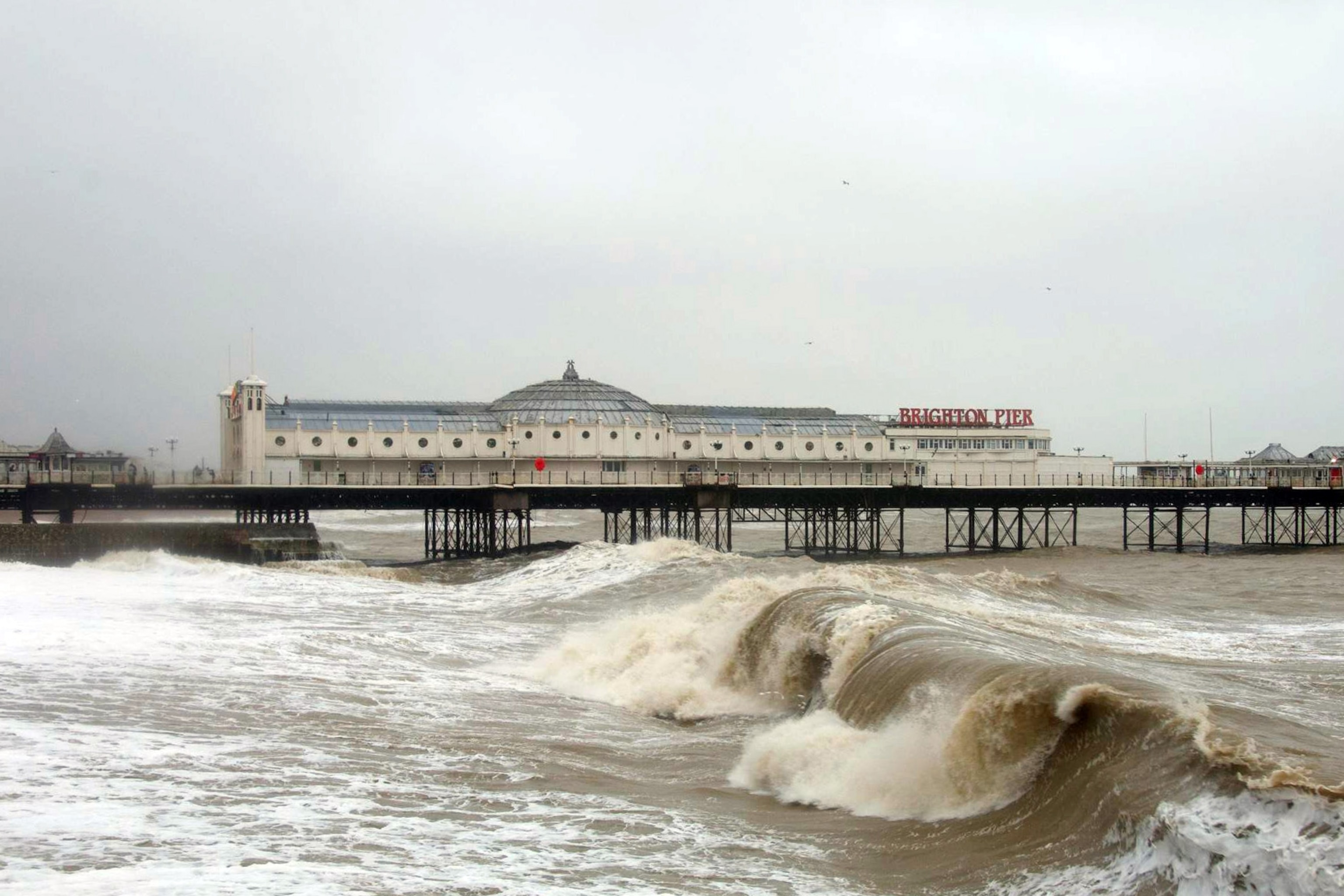 brighton beach cold water swim club in england