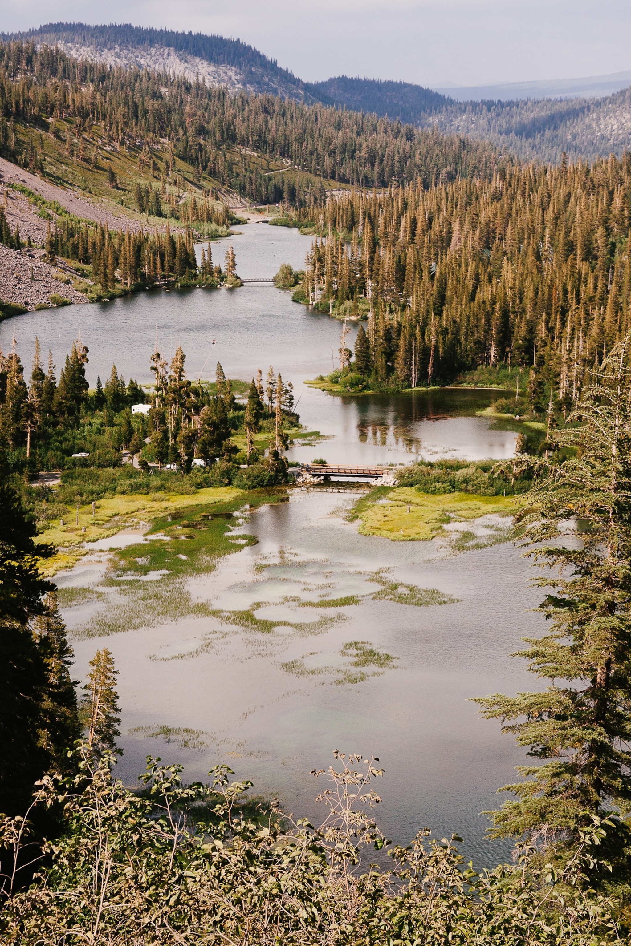 View over Yosemite National Park.