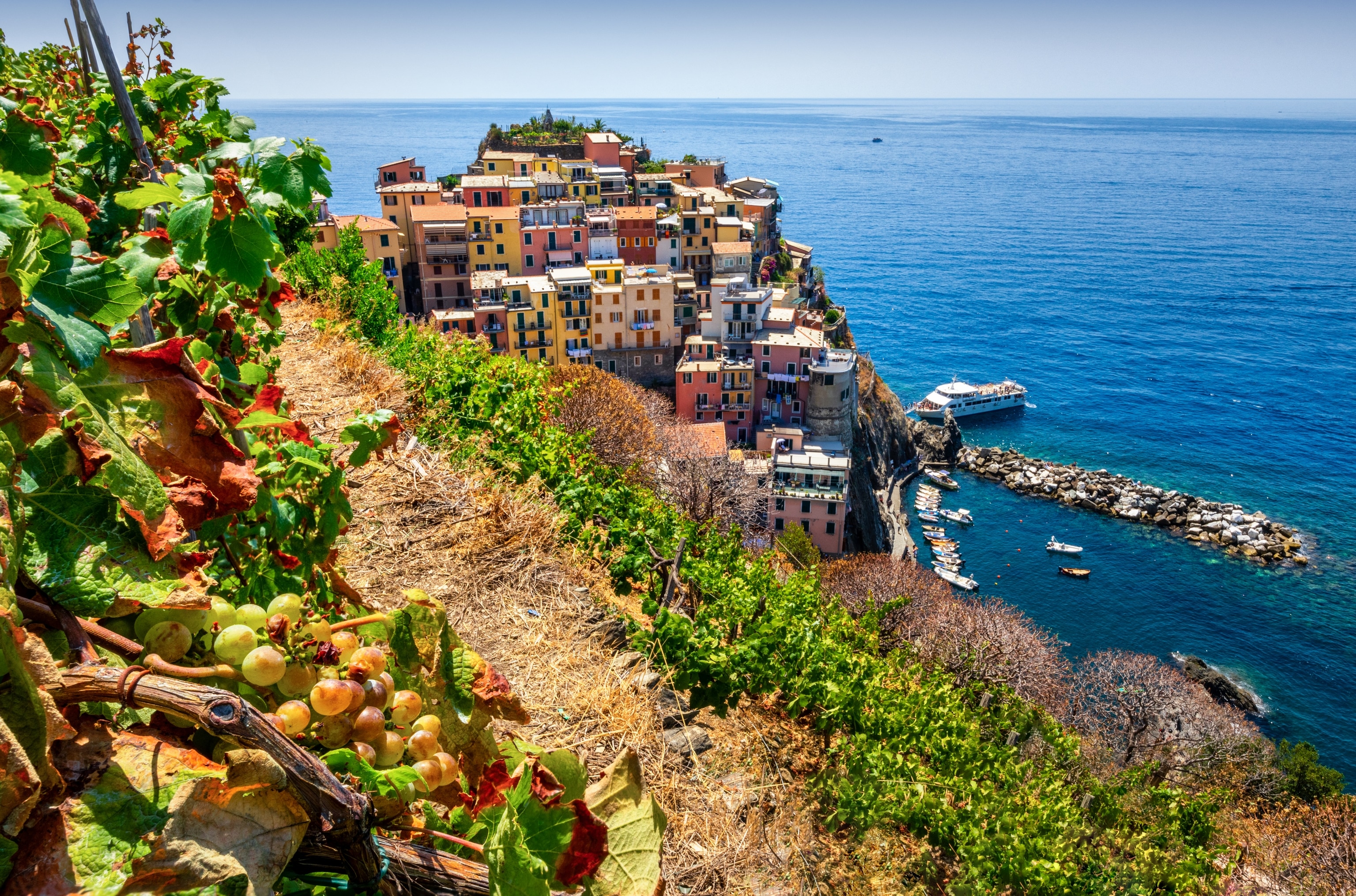 A far shot of the Cinque Terre vineyards with the sea in the background.