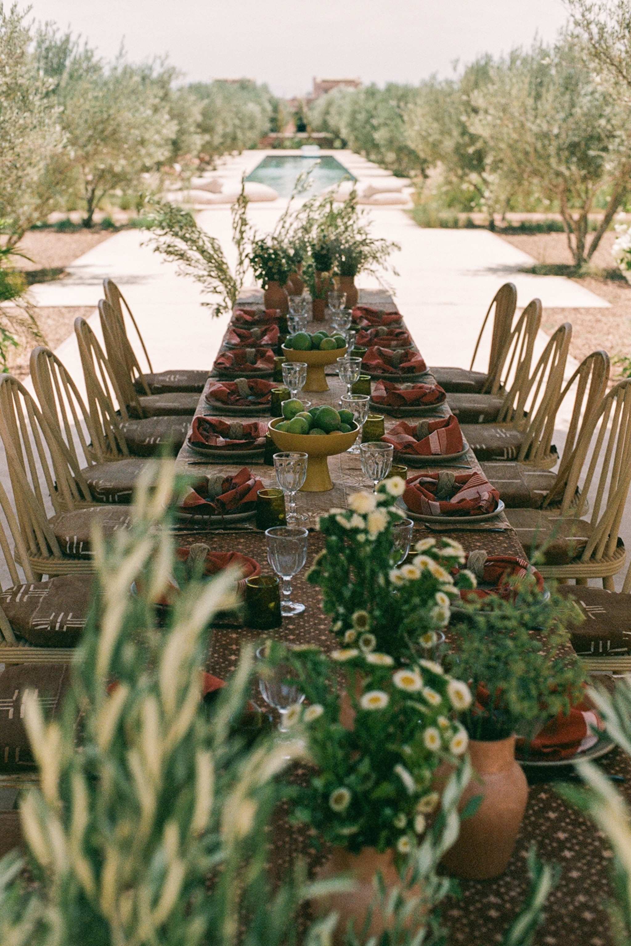 Long dining table laid out with crockery and plants