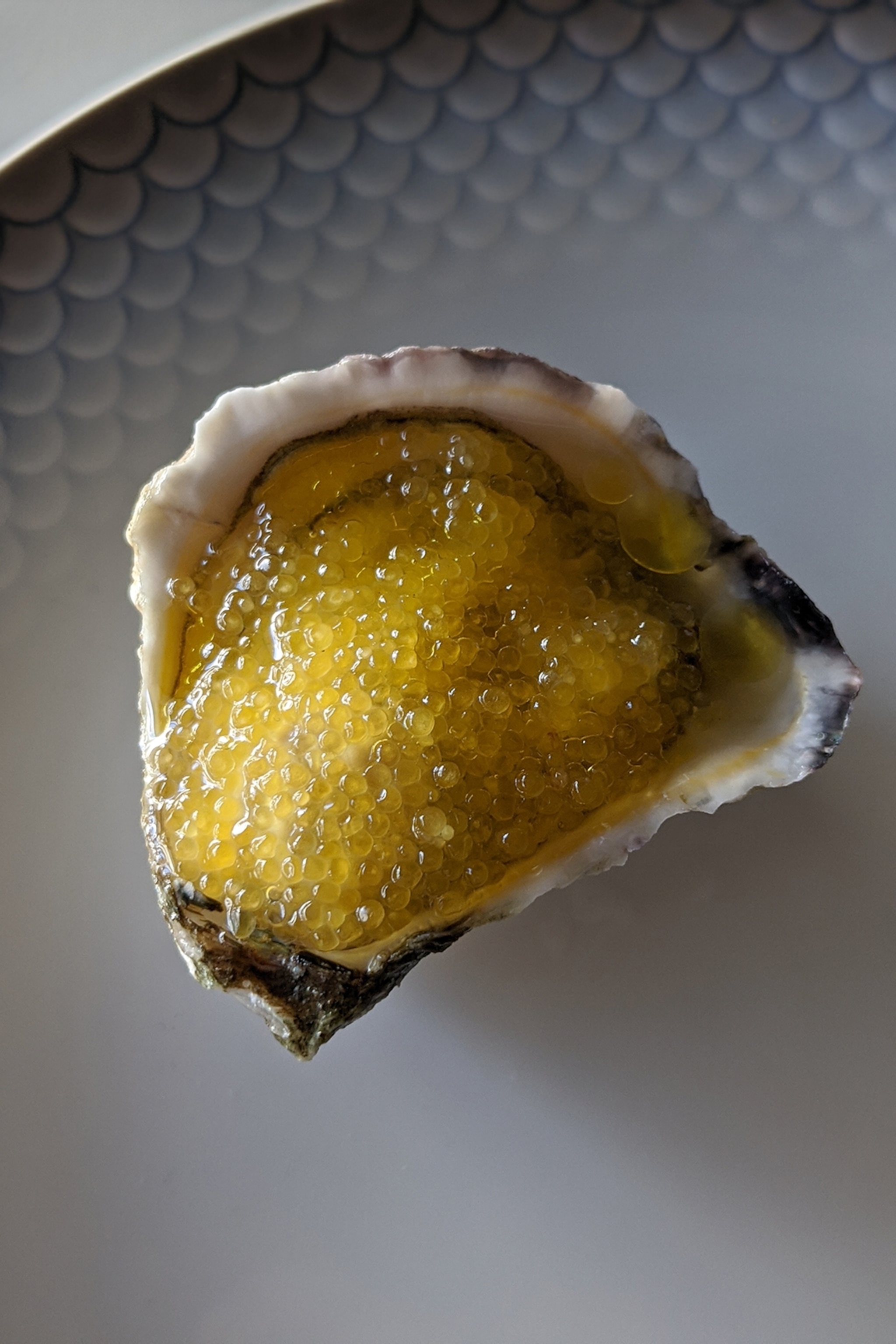 An oyster