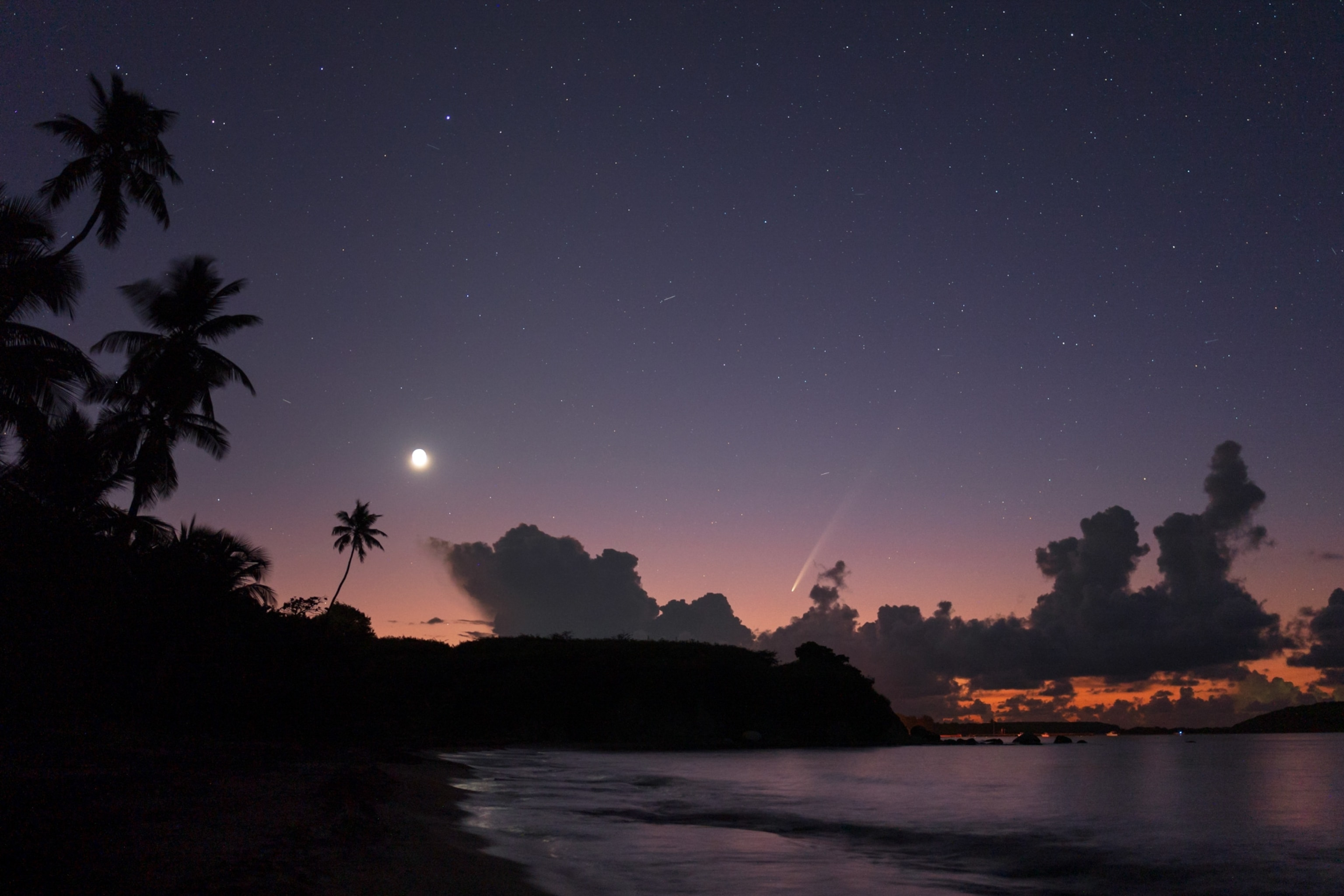 The coast of an island beach, with palm trees silhouetted against a dawn sky, still filled with stars. Near the center of the frame, a comet leaves a trail as it flies towards the horizon.