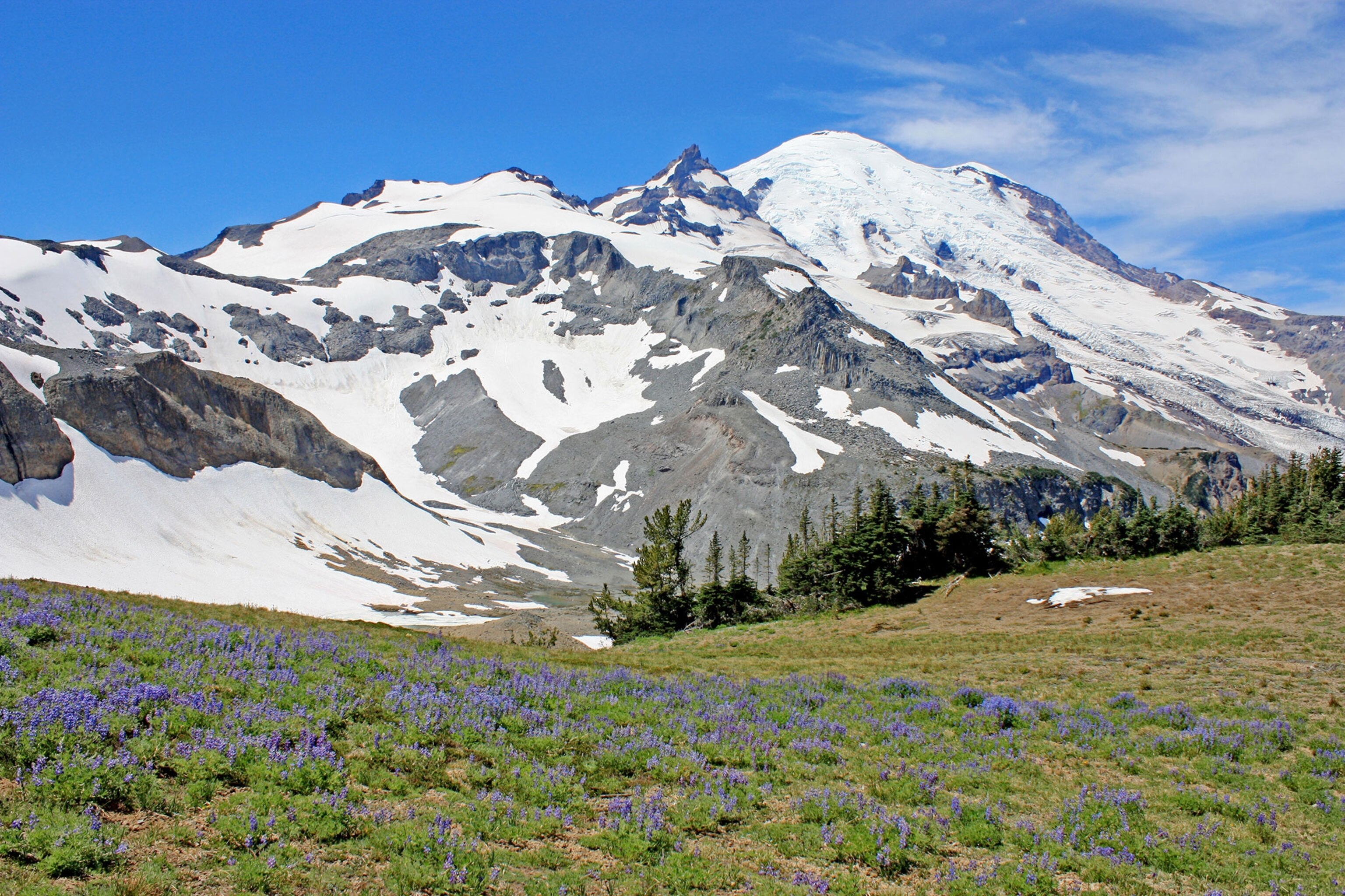 Mt. Rainier from the Summerland trail