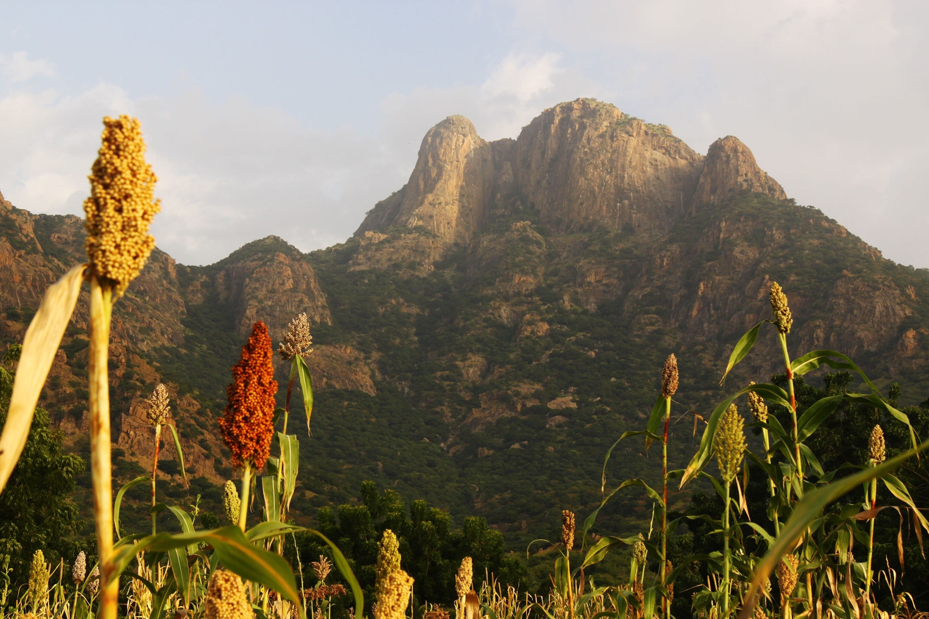 Guera mountains