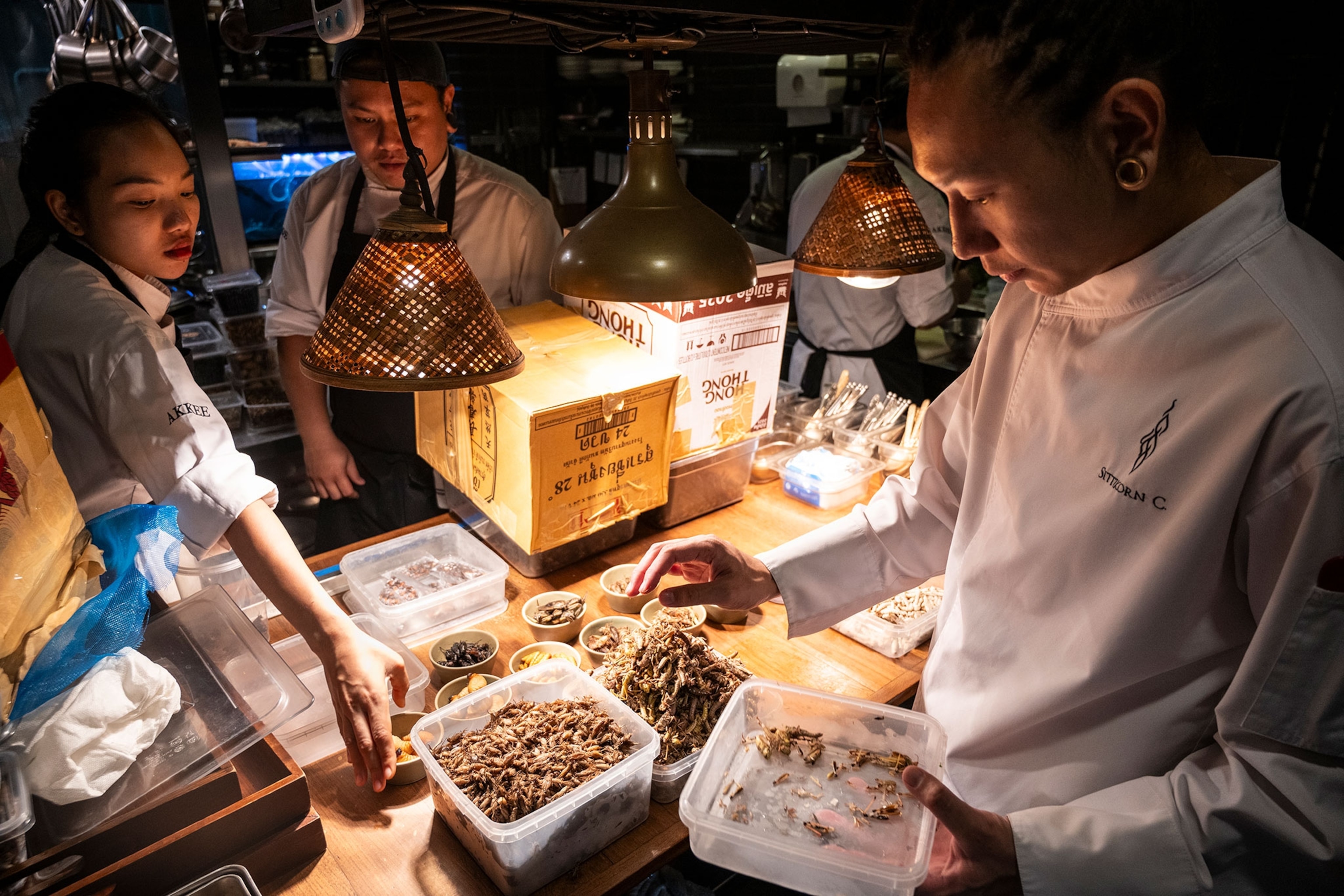 A group of chefs reach around a busy kitchen arranging edible insects of plates to be served.